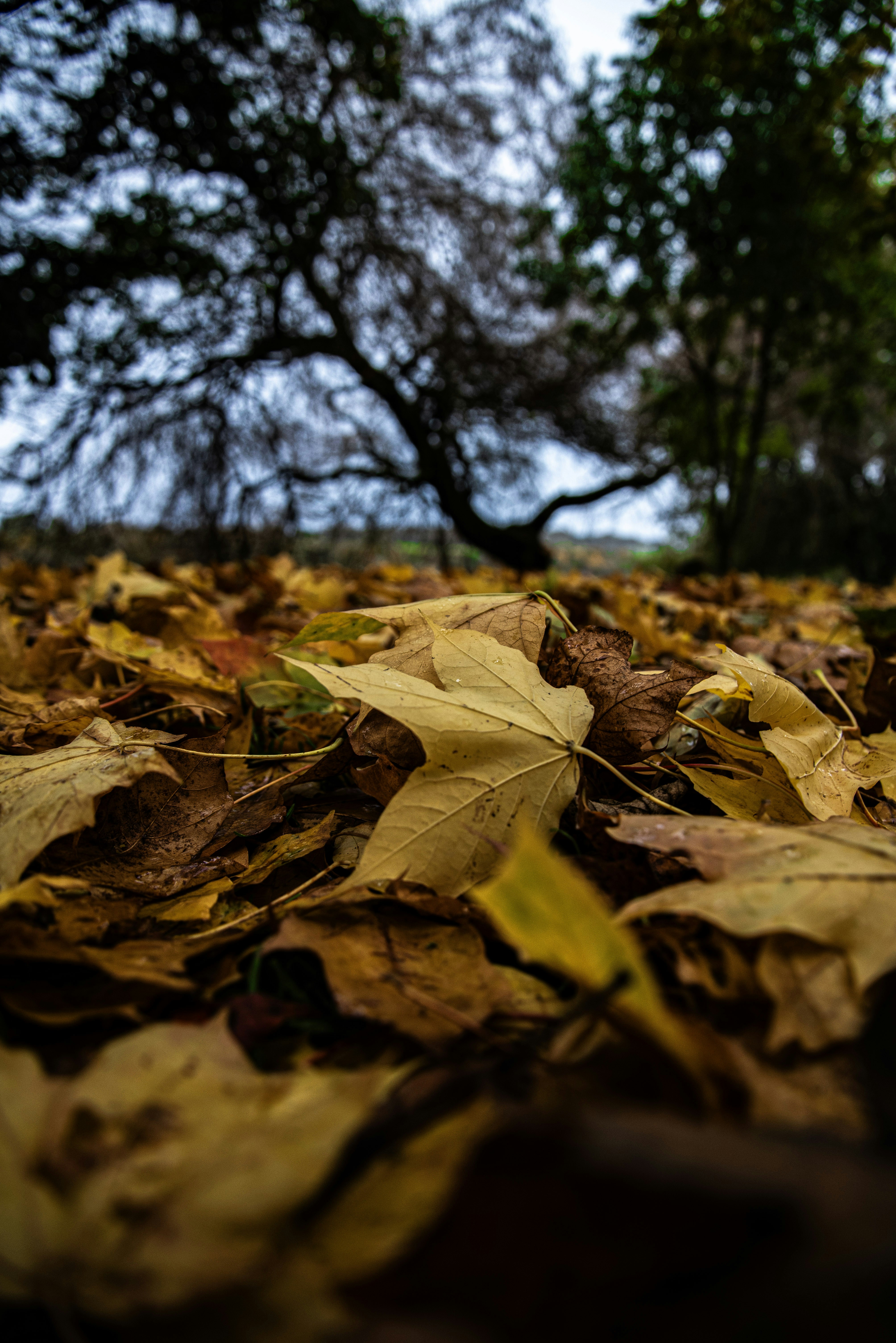 Photo by alphaperspective