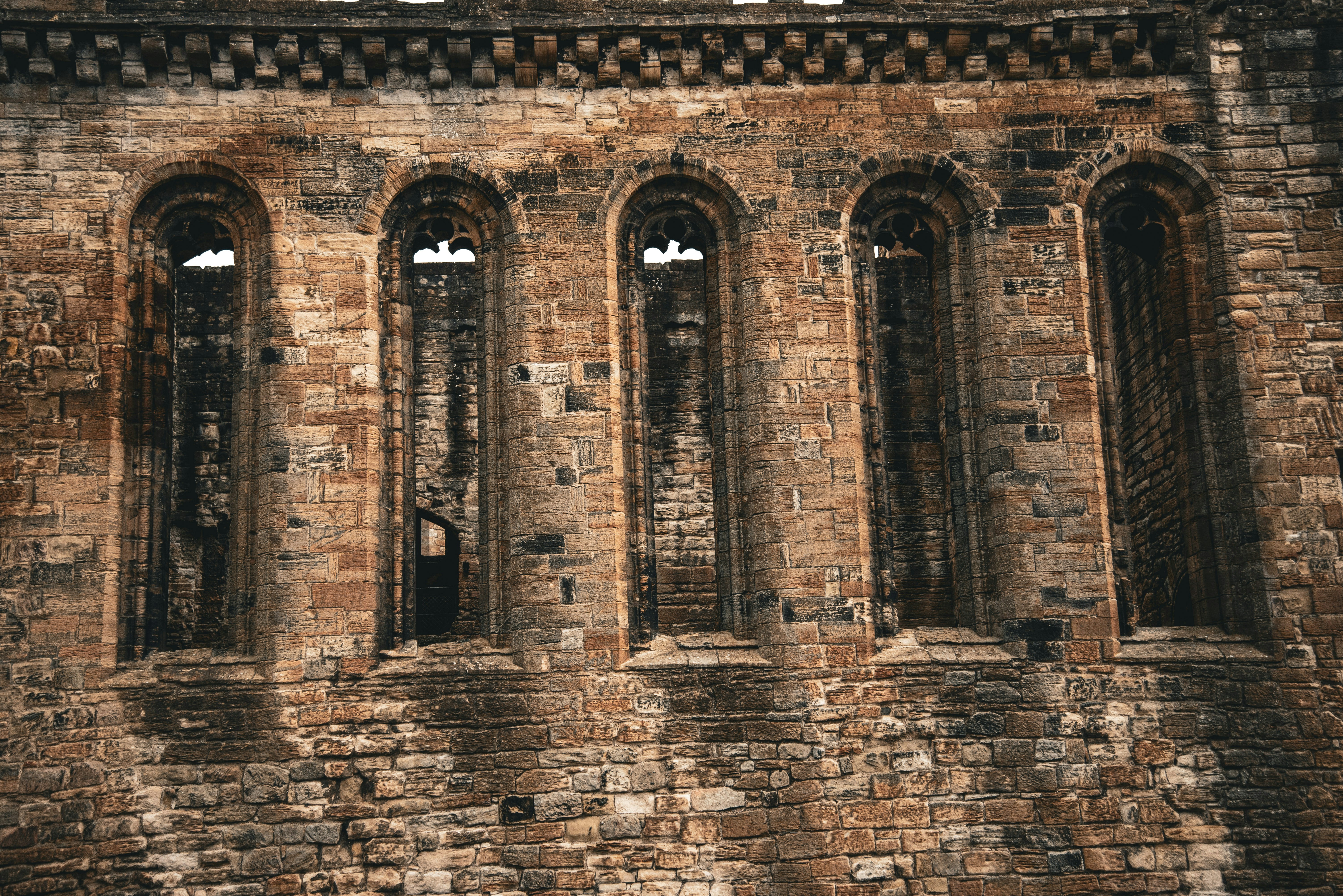 Photo by alphaperspective