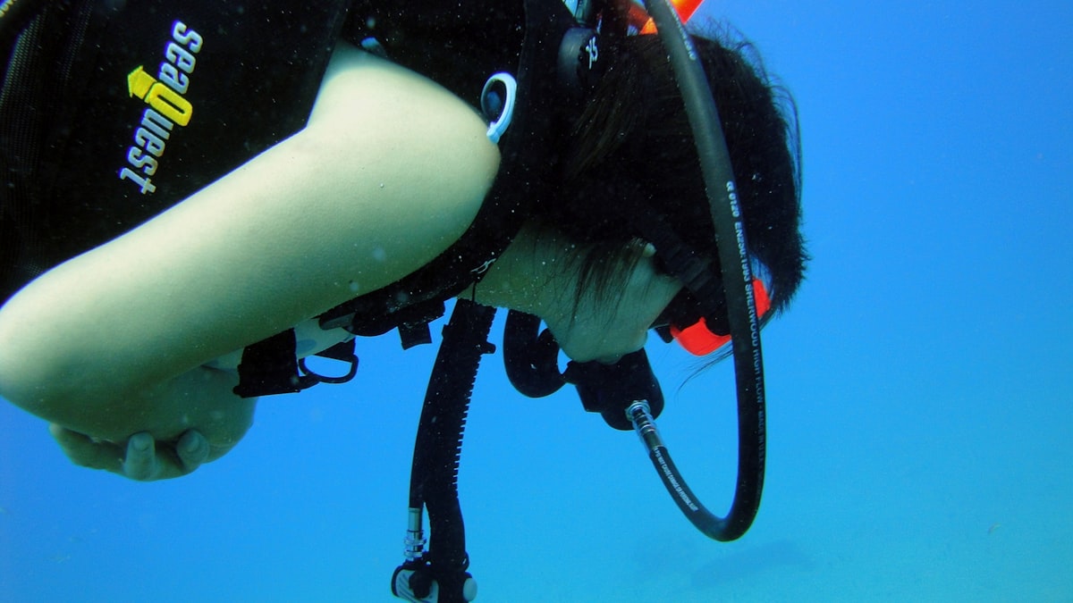 Diving Certificates: What Do You Need for Your First Diving Trip?