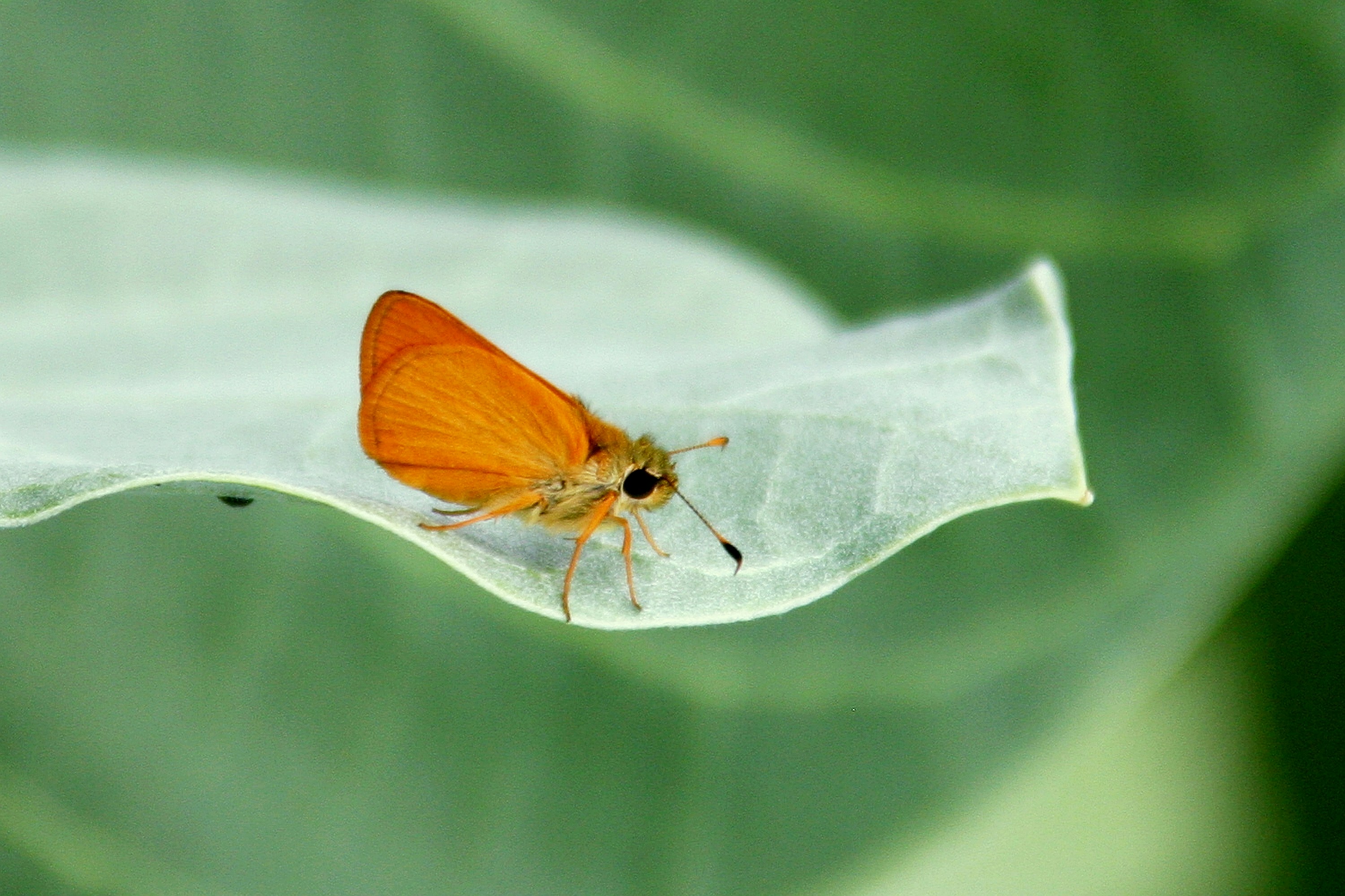 Photo by climatechangevi