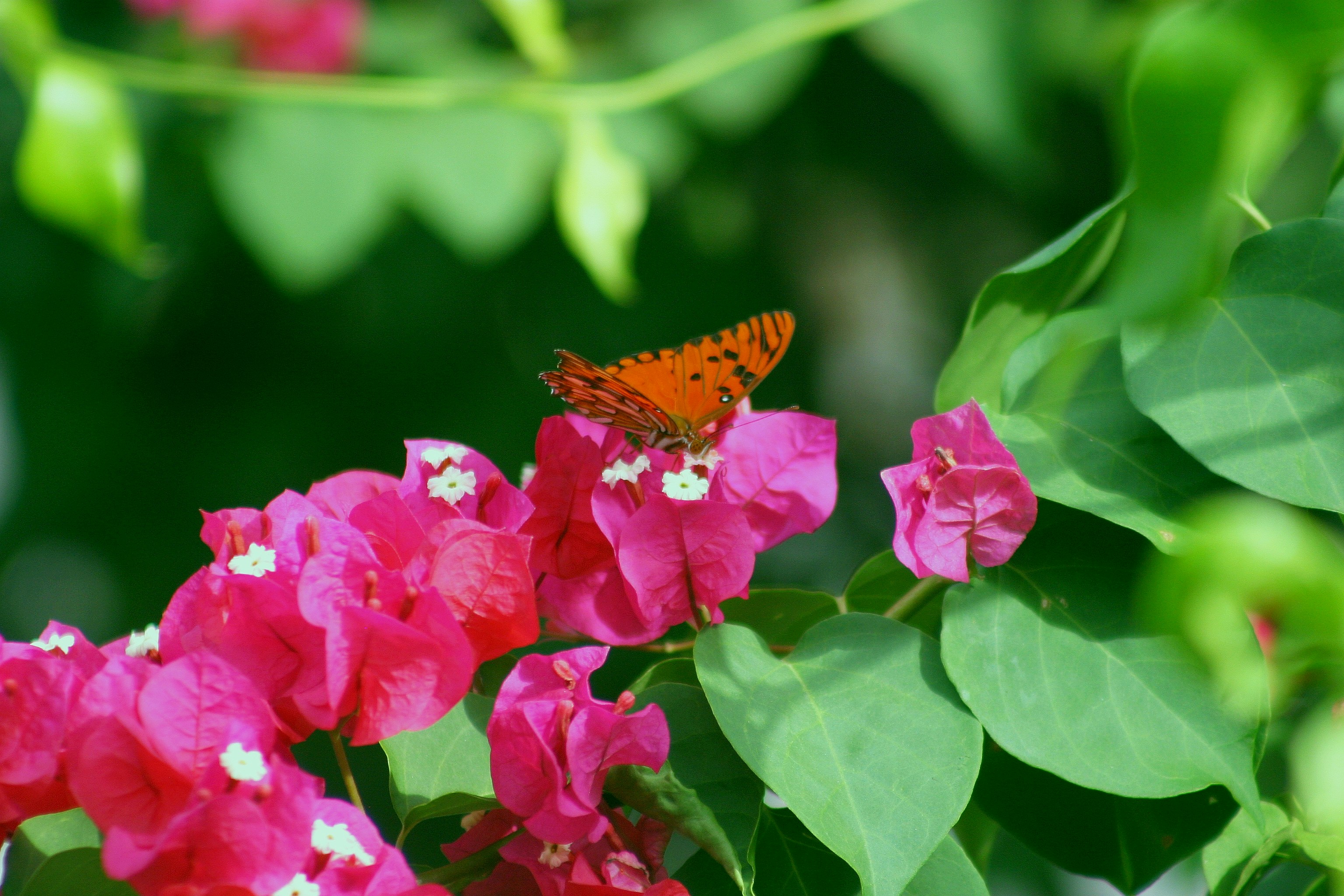 Photo by climatechangevi