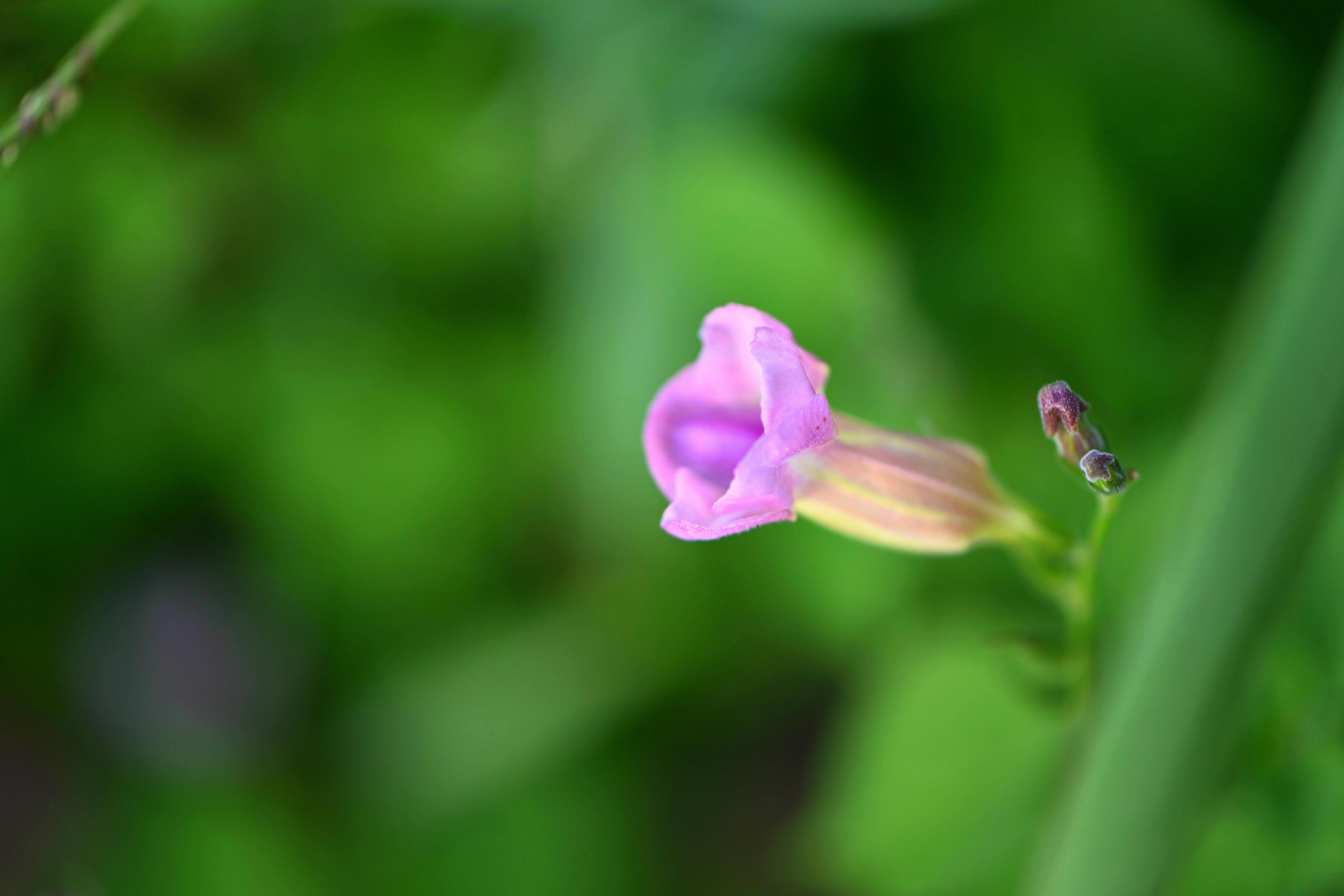 Photo by climatechangevi