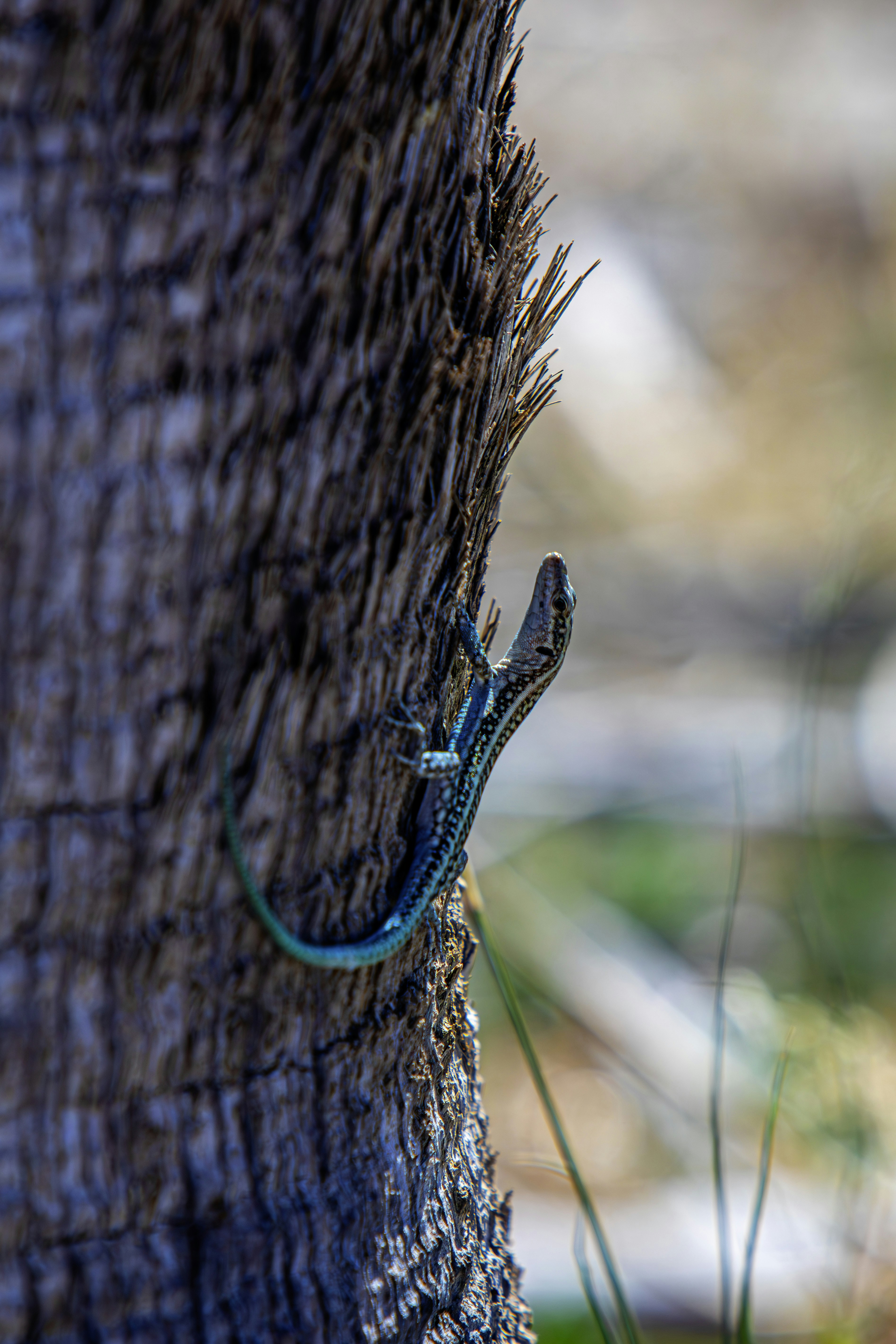 Photo by erik_karits