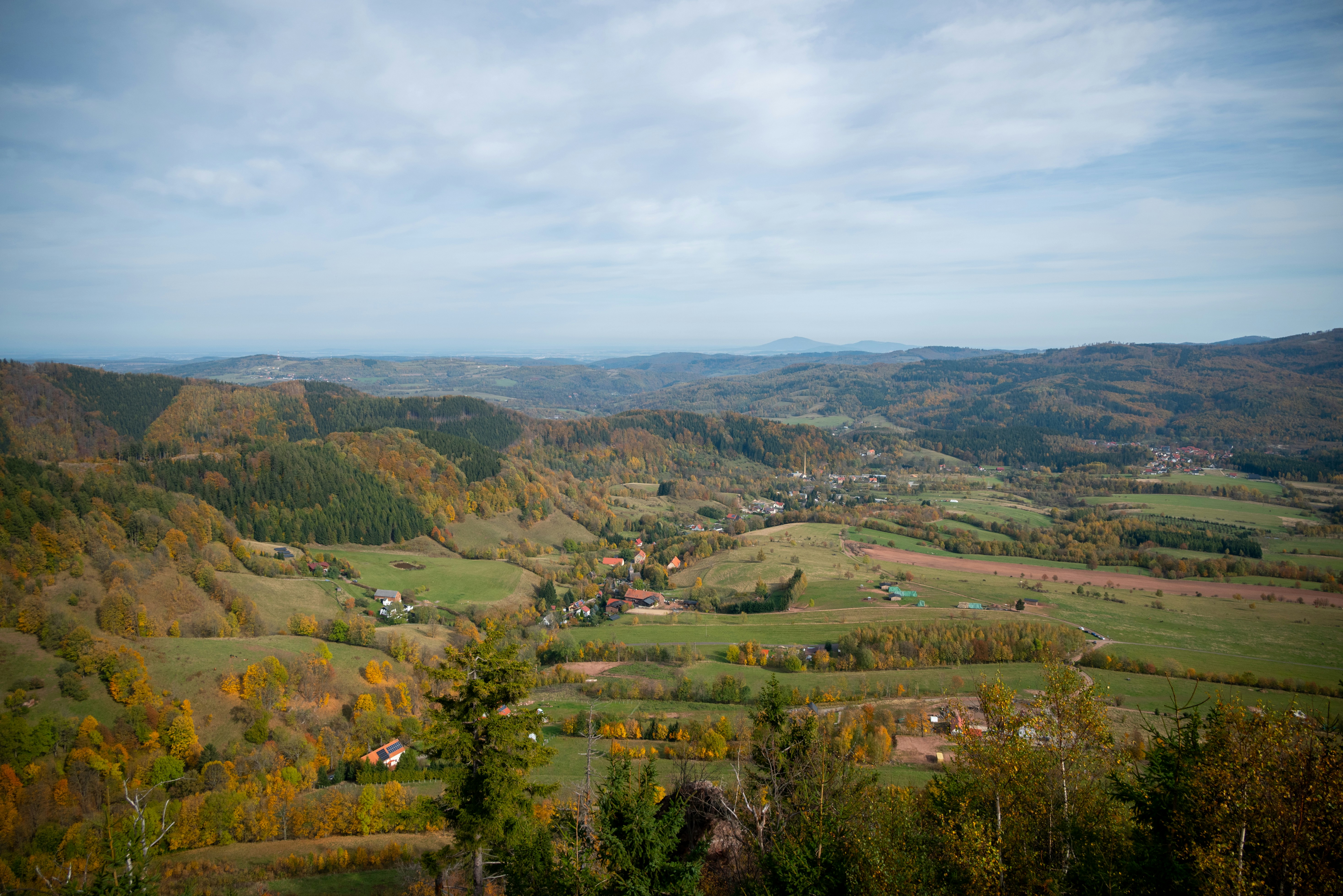 Image by Mateusz Bajdak via Unsplash