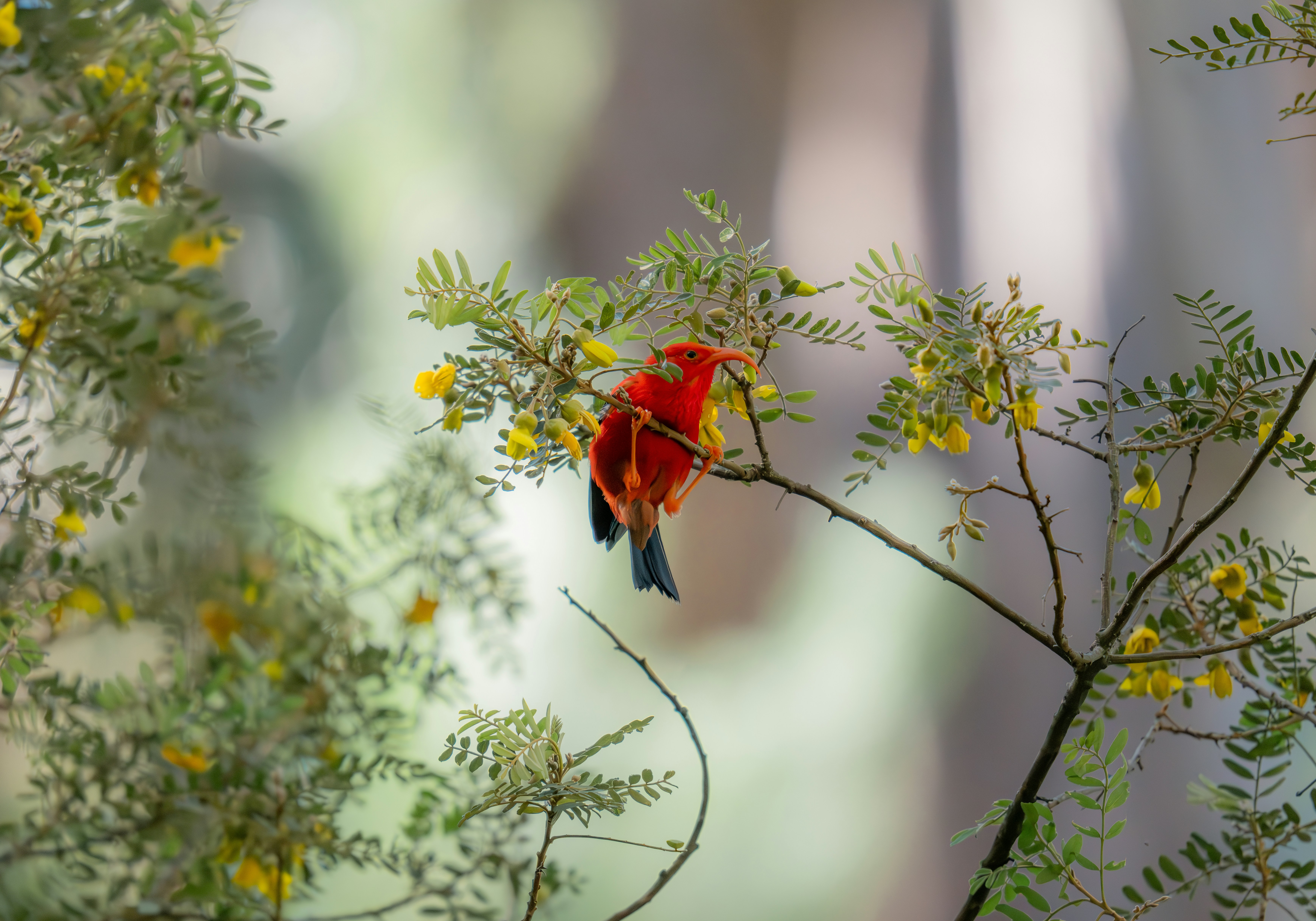 Photo by huntermastersmusic