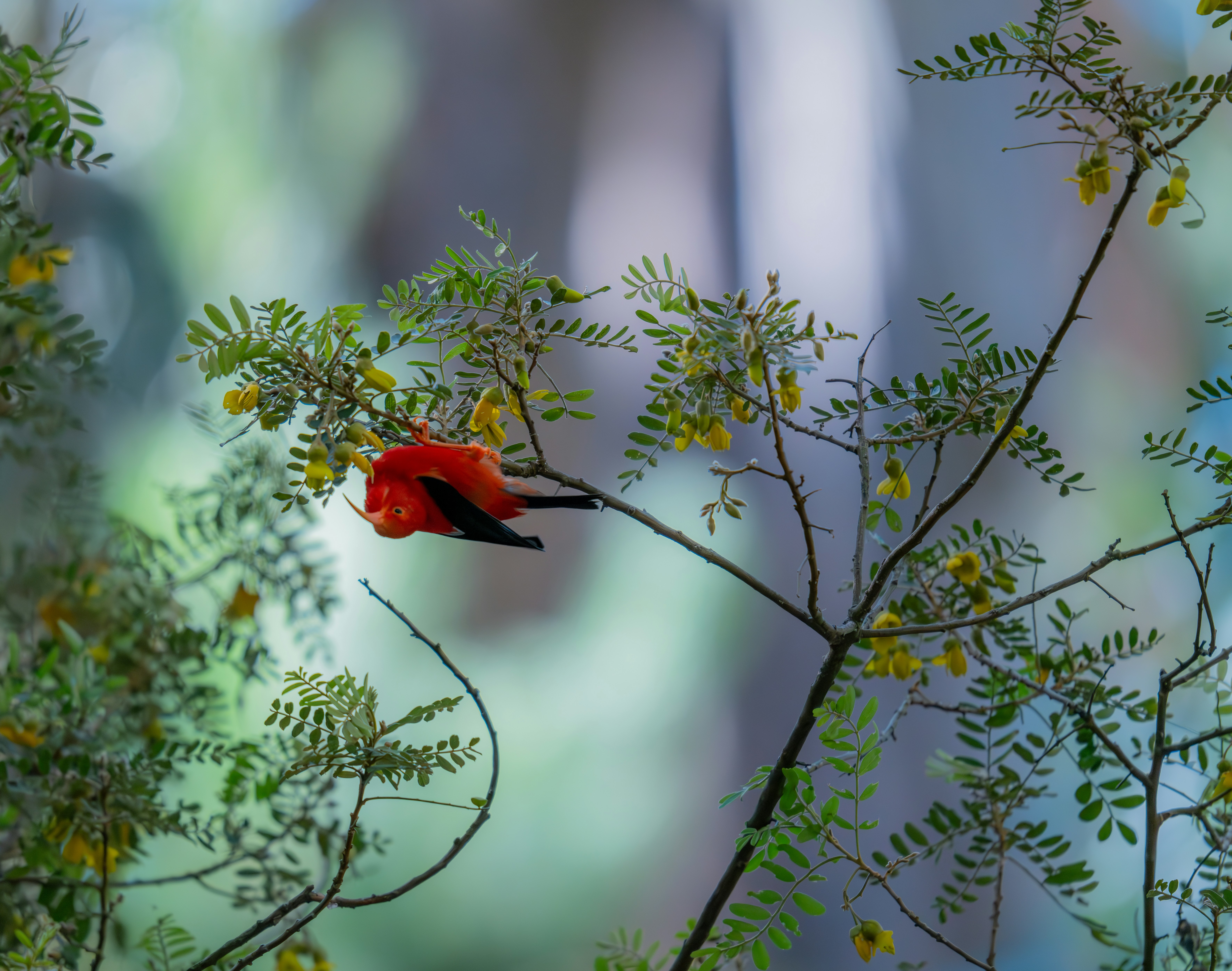 Photo by huntermastersmusic