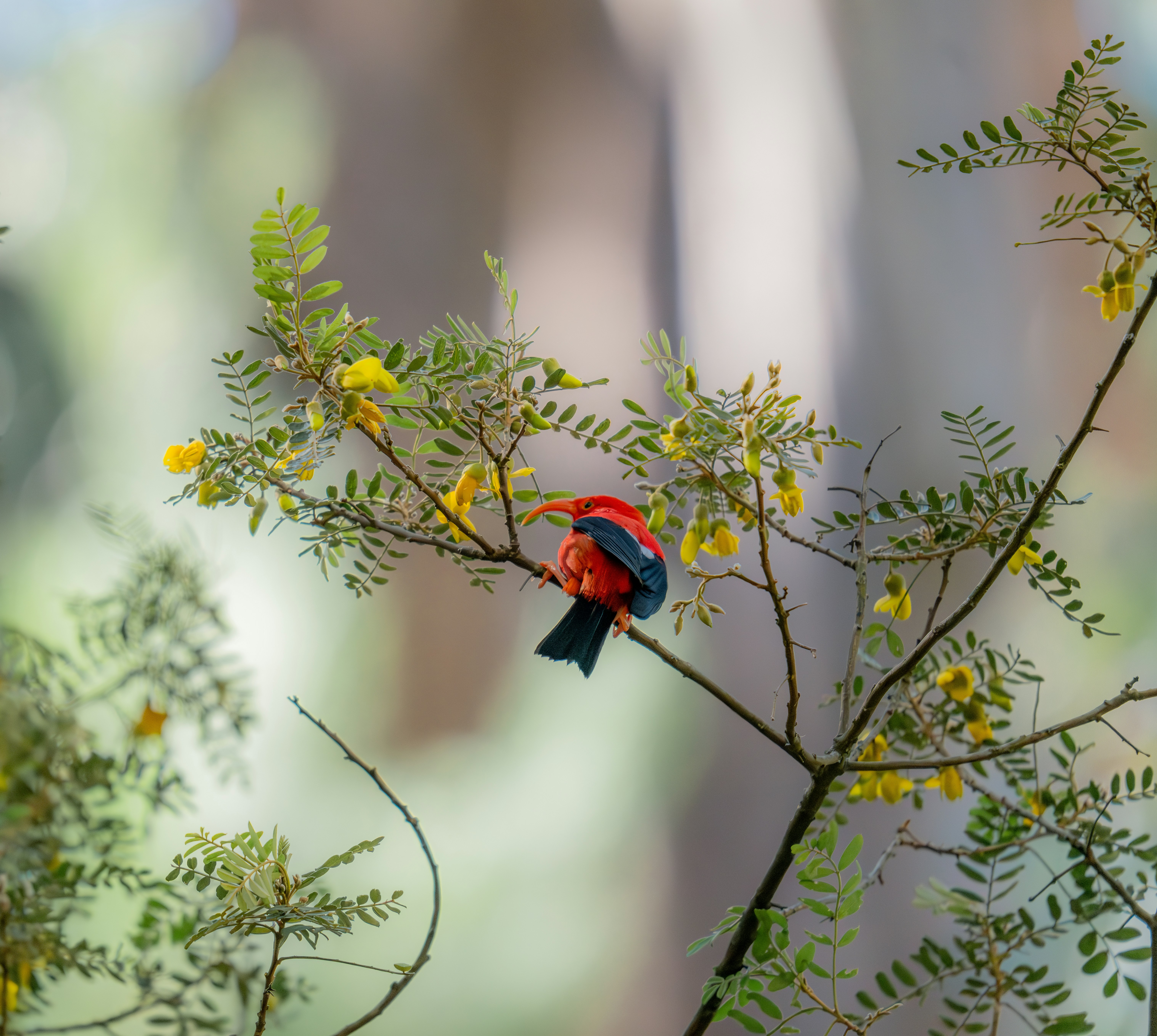 Photo by huntermastersmusic