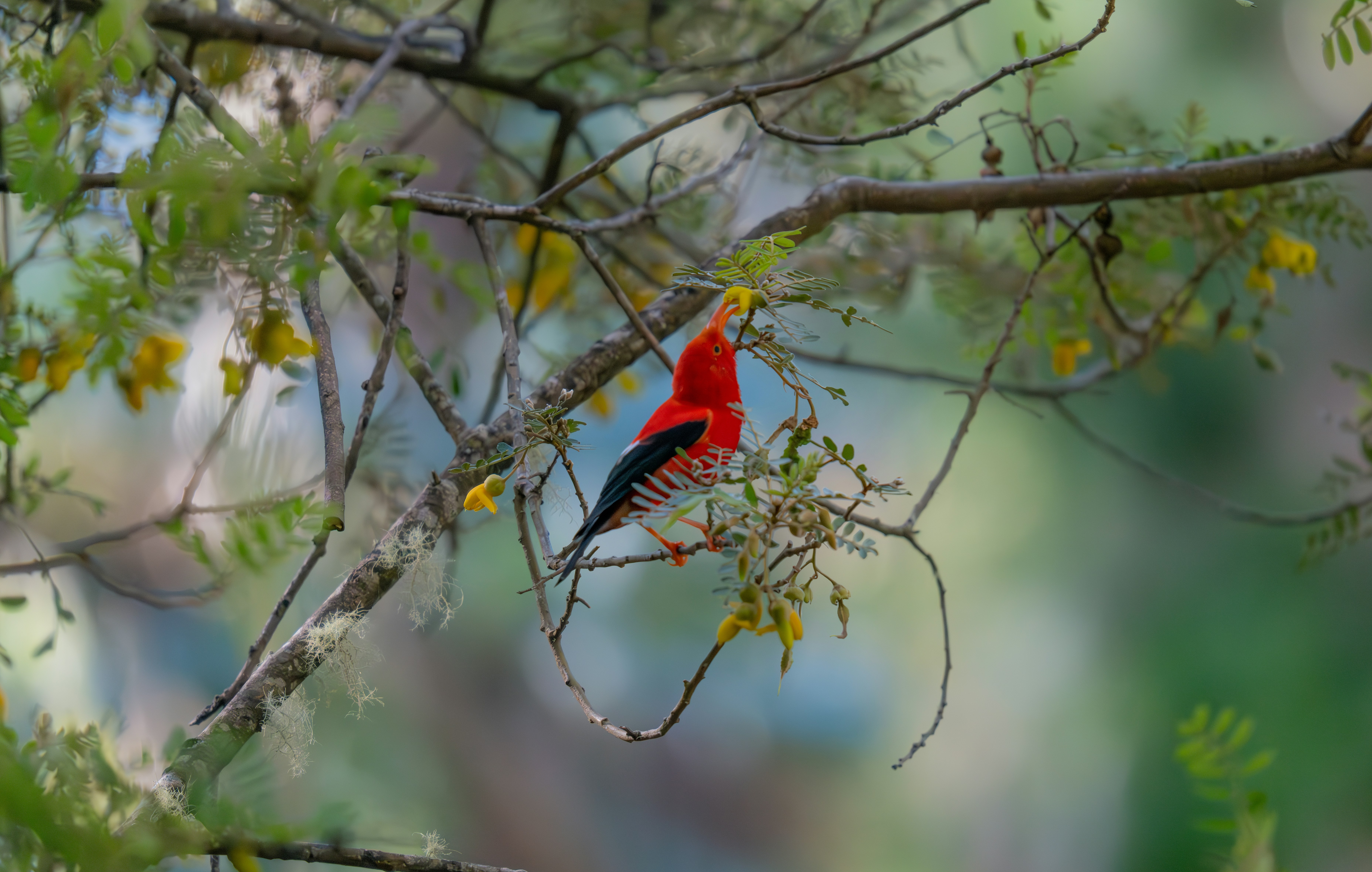 Photo by huntermastersmusic