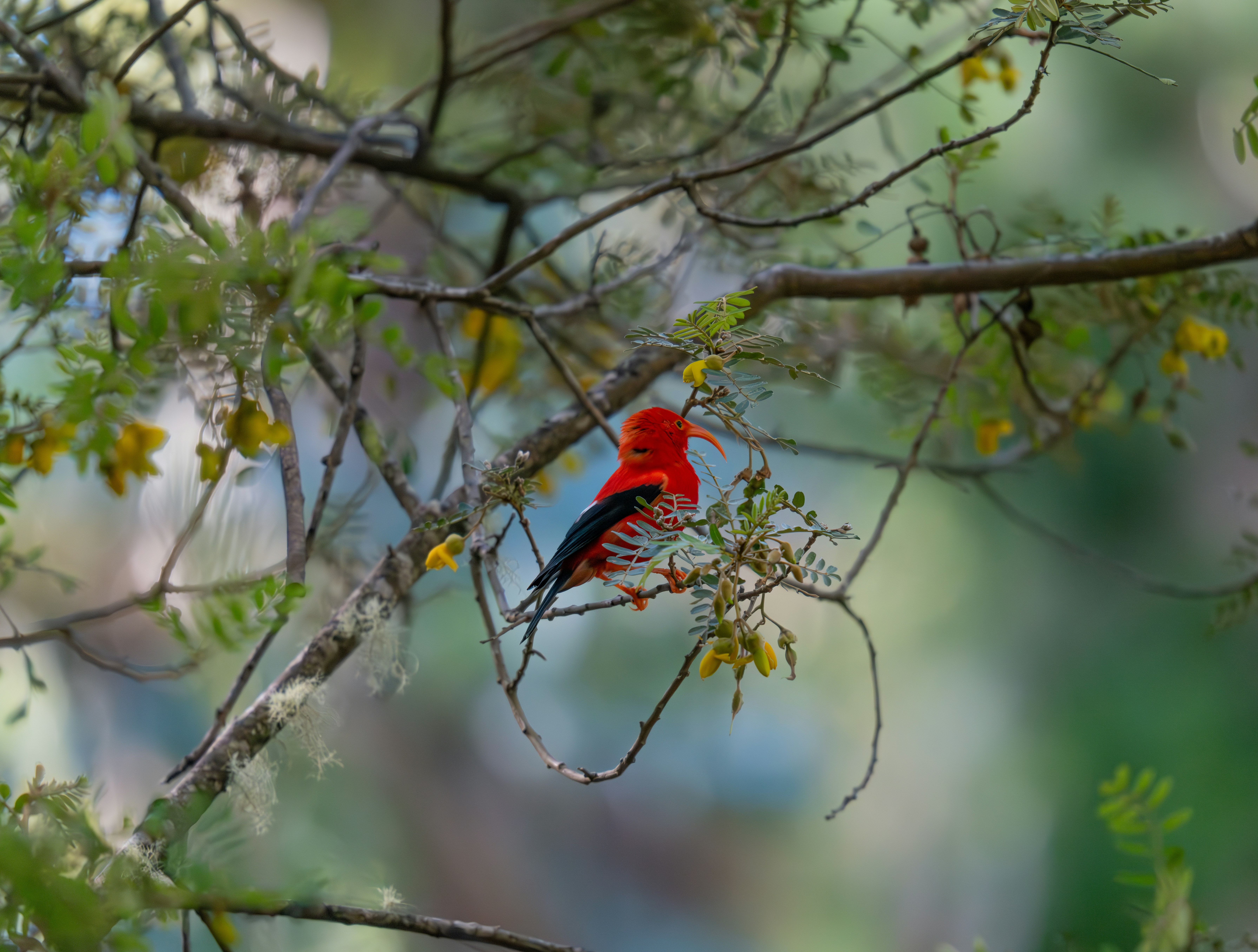 Photo by huntermastersmusic