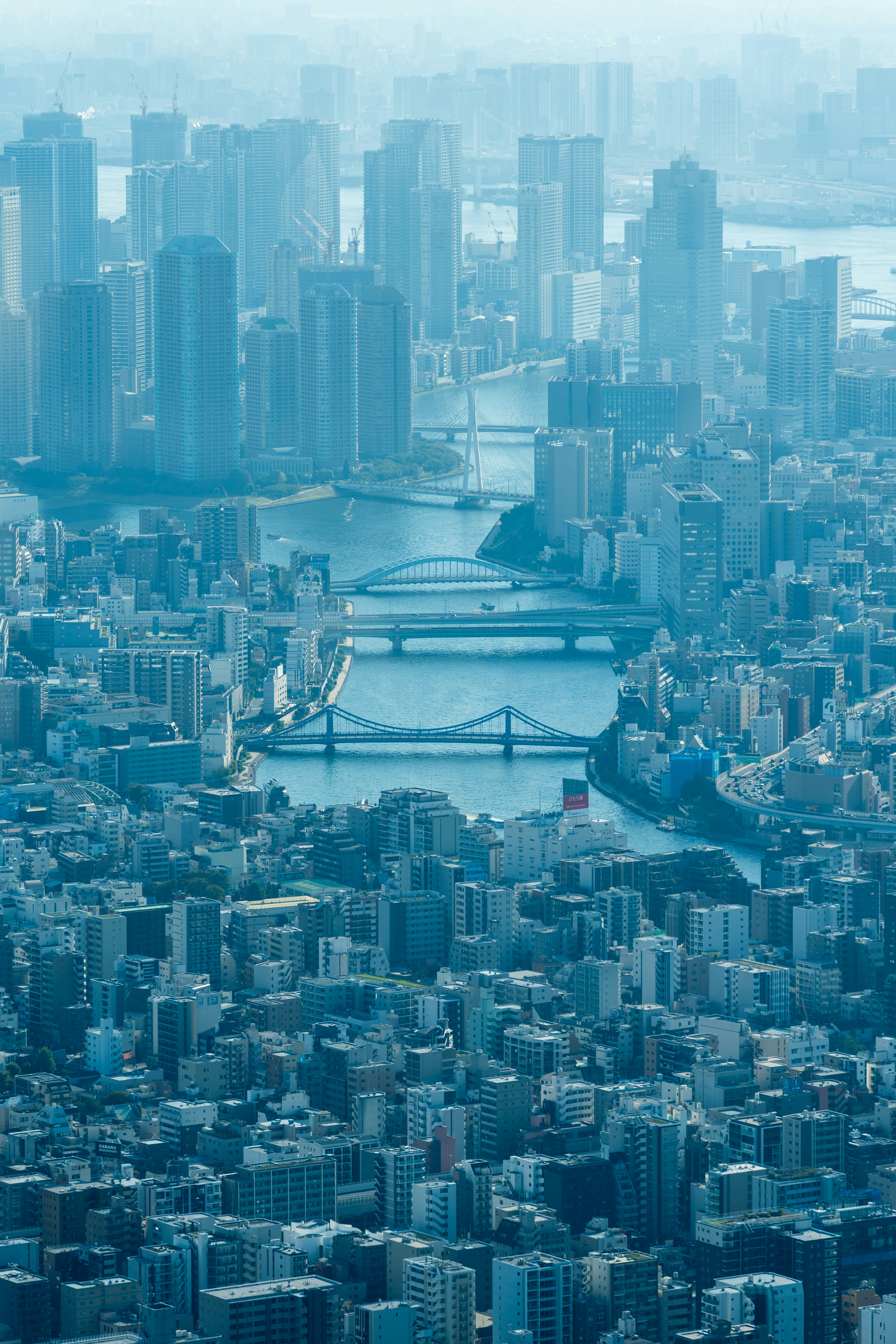 Photo by chris_pixel