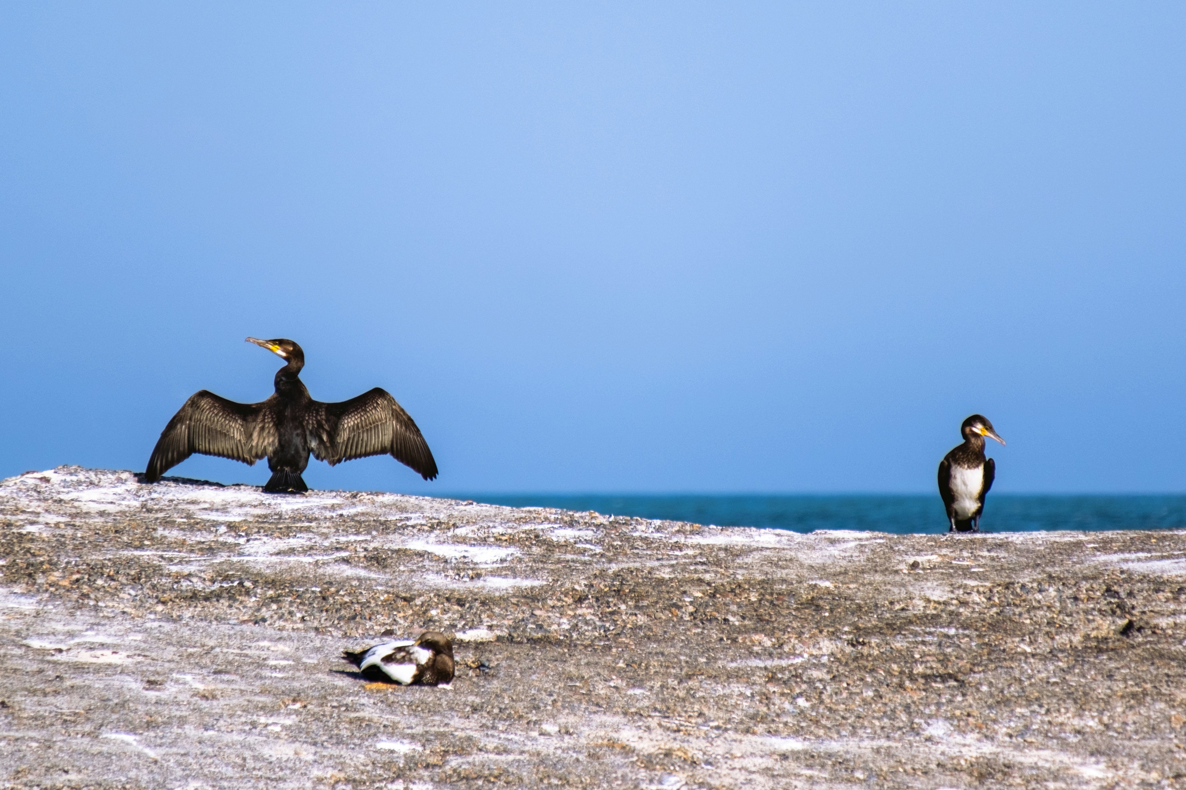 Photo by julia_oberhauser