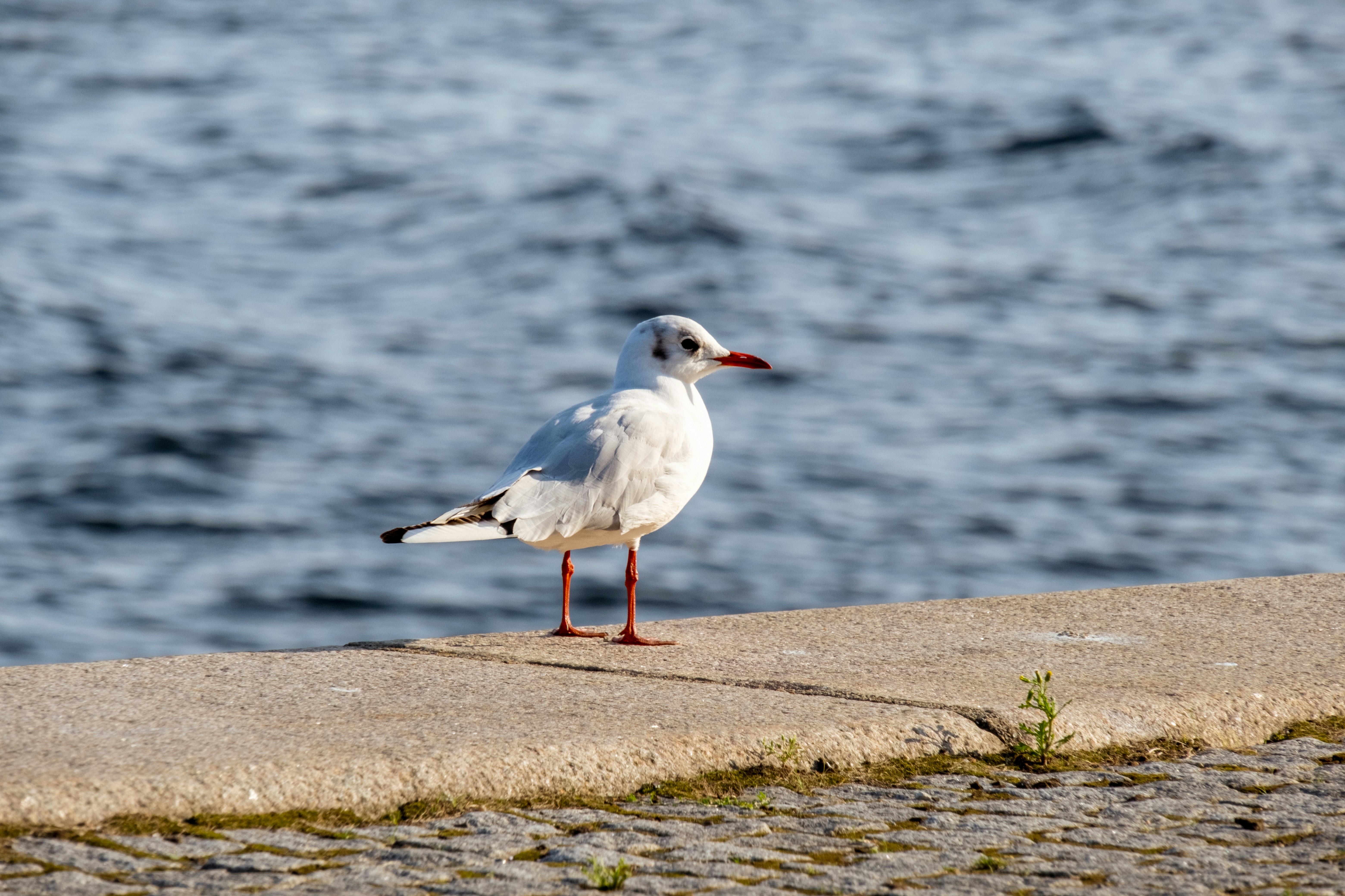 Photo by julia_oberhauser