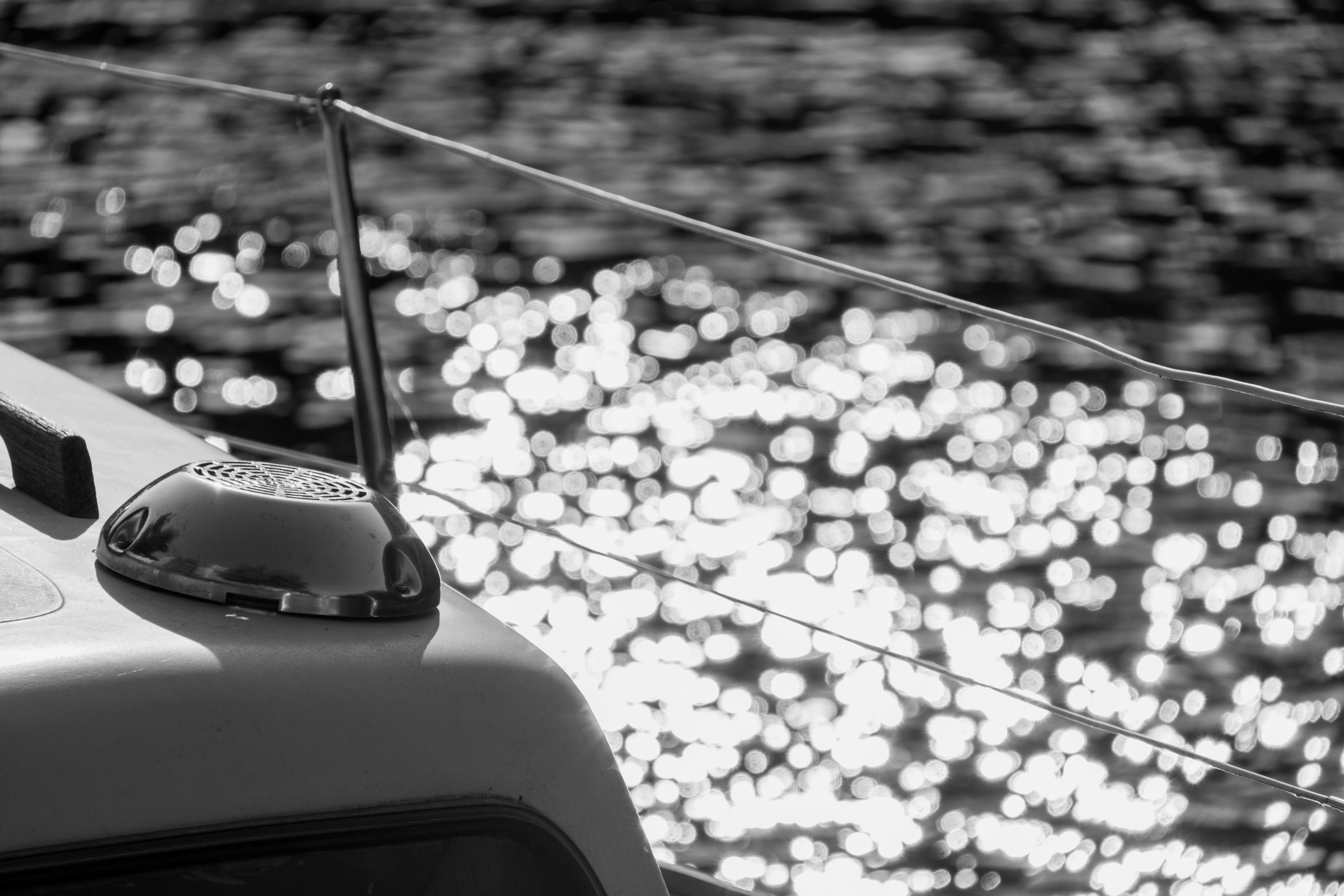 Photo by julia_oberhauser