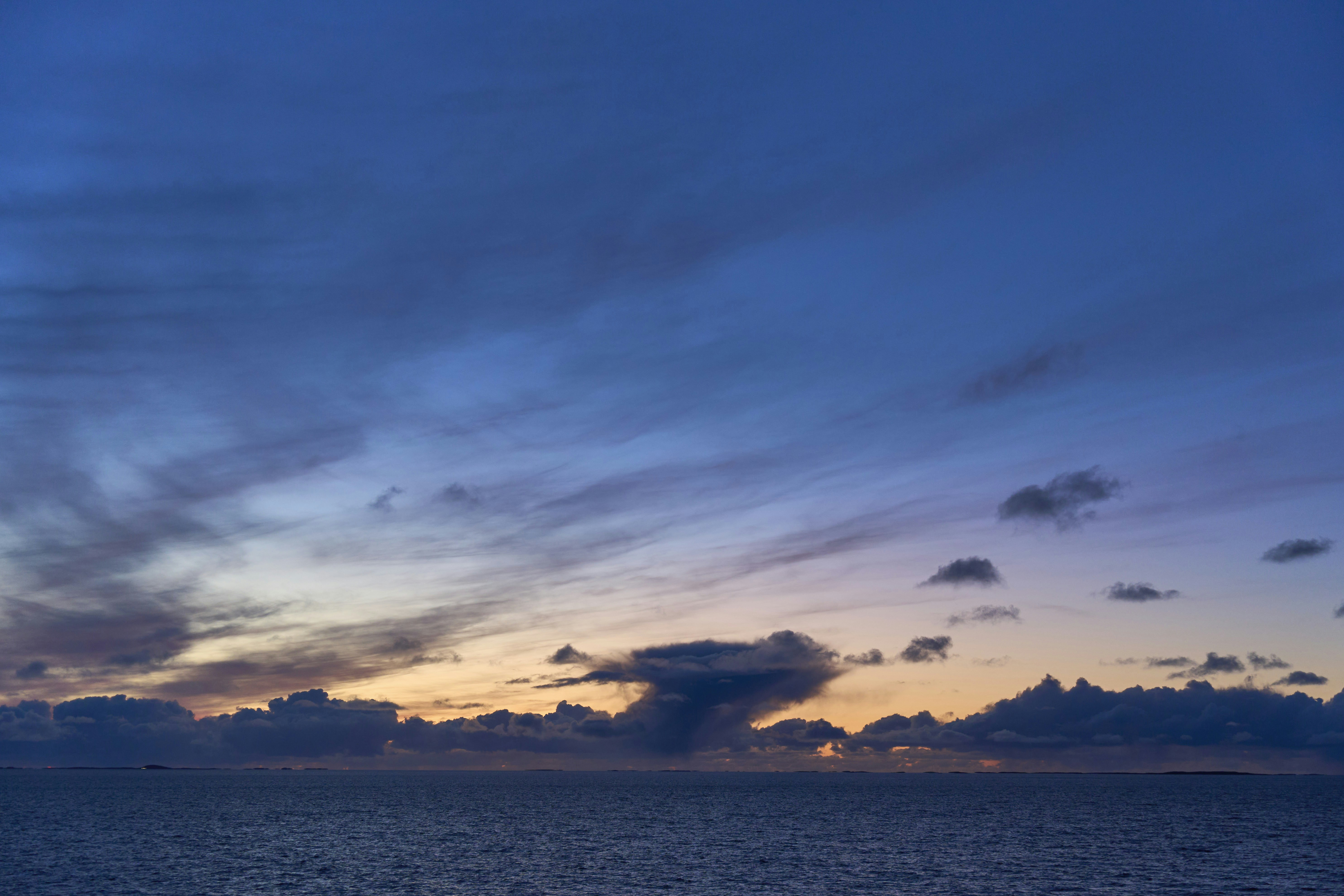 Photo by wolfgang_hasselmann