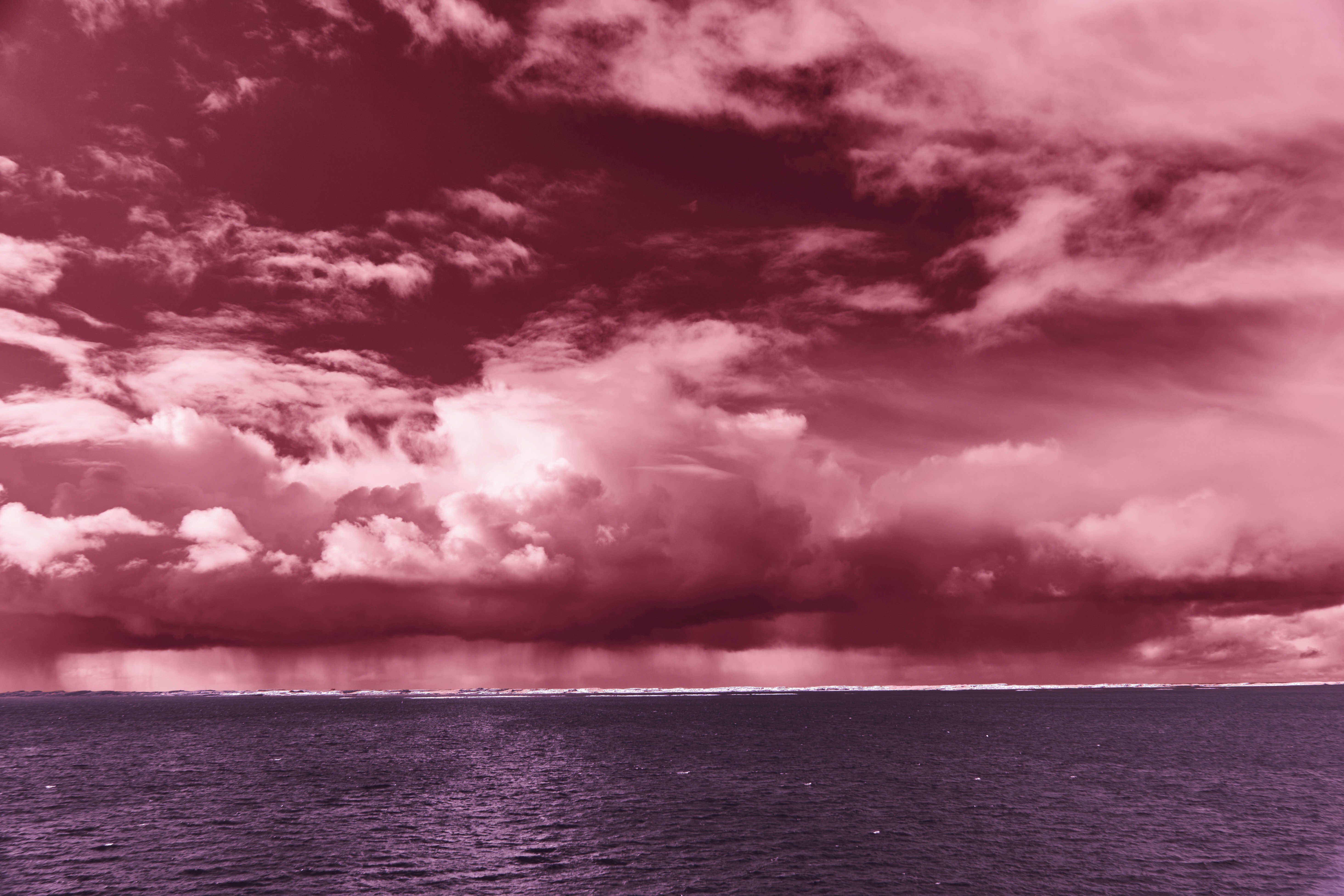 Photo by wolfgang_hasselmann