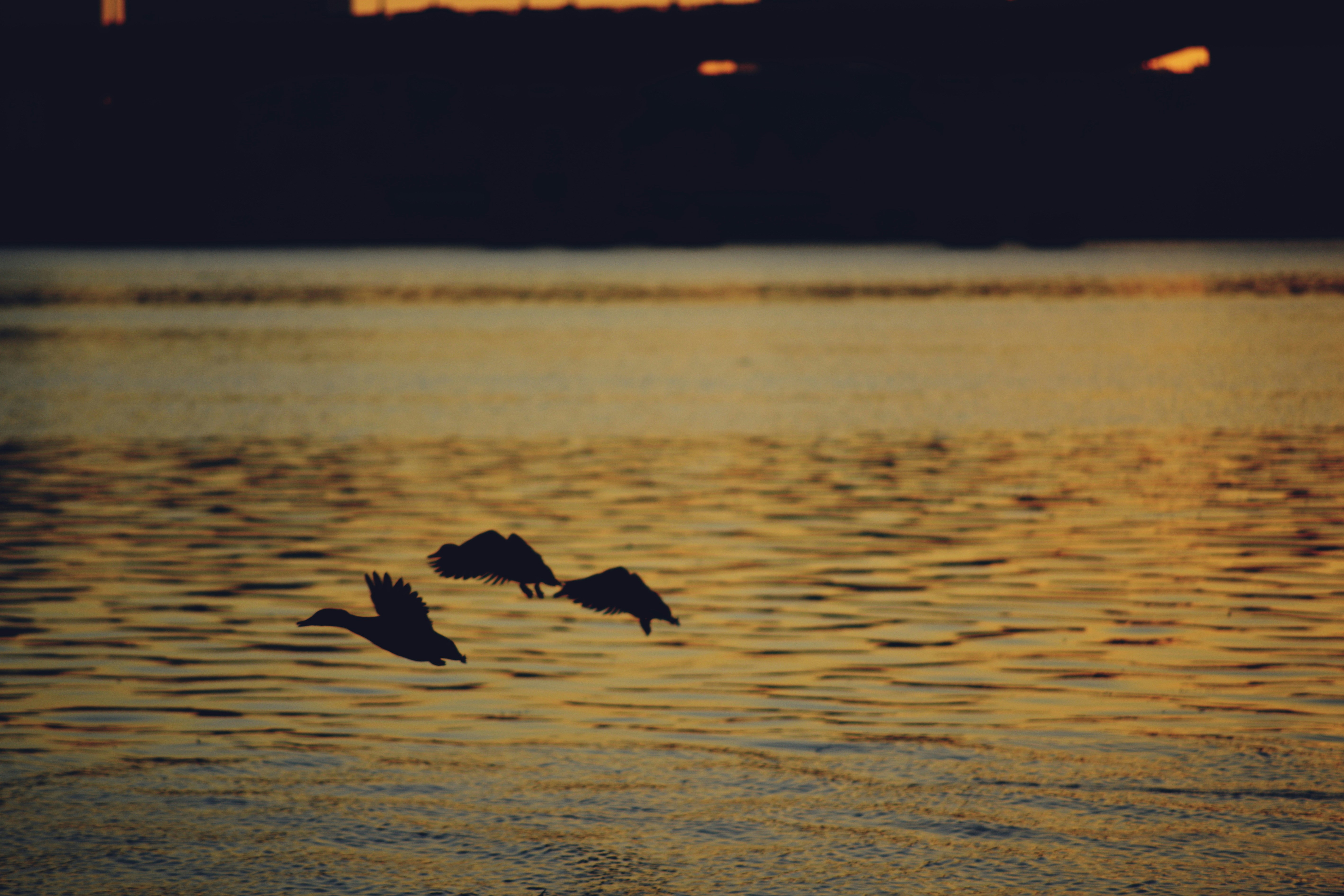 Photo by cherstve_pechivo