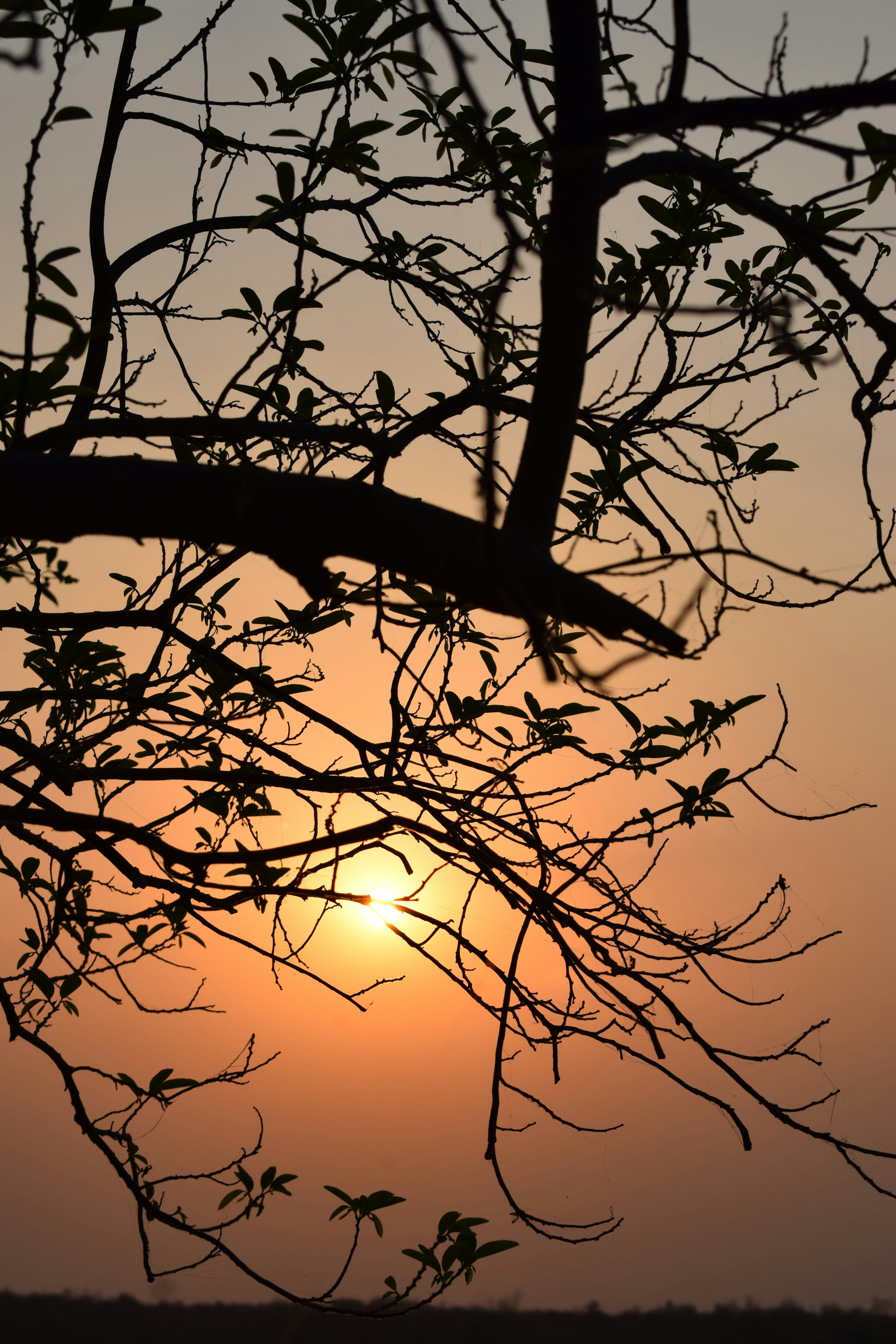 Photo by ayush_bhoyar