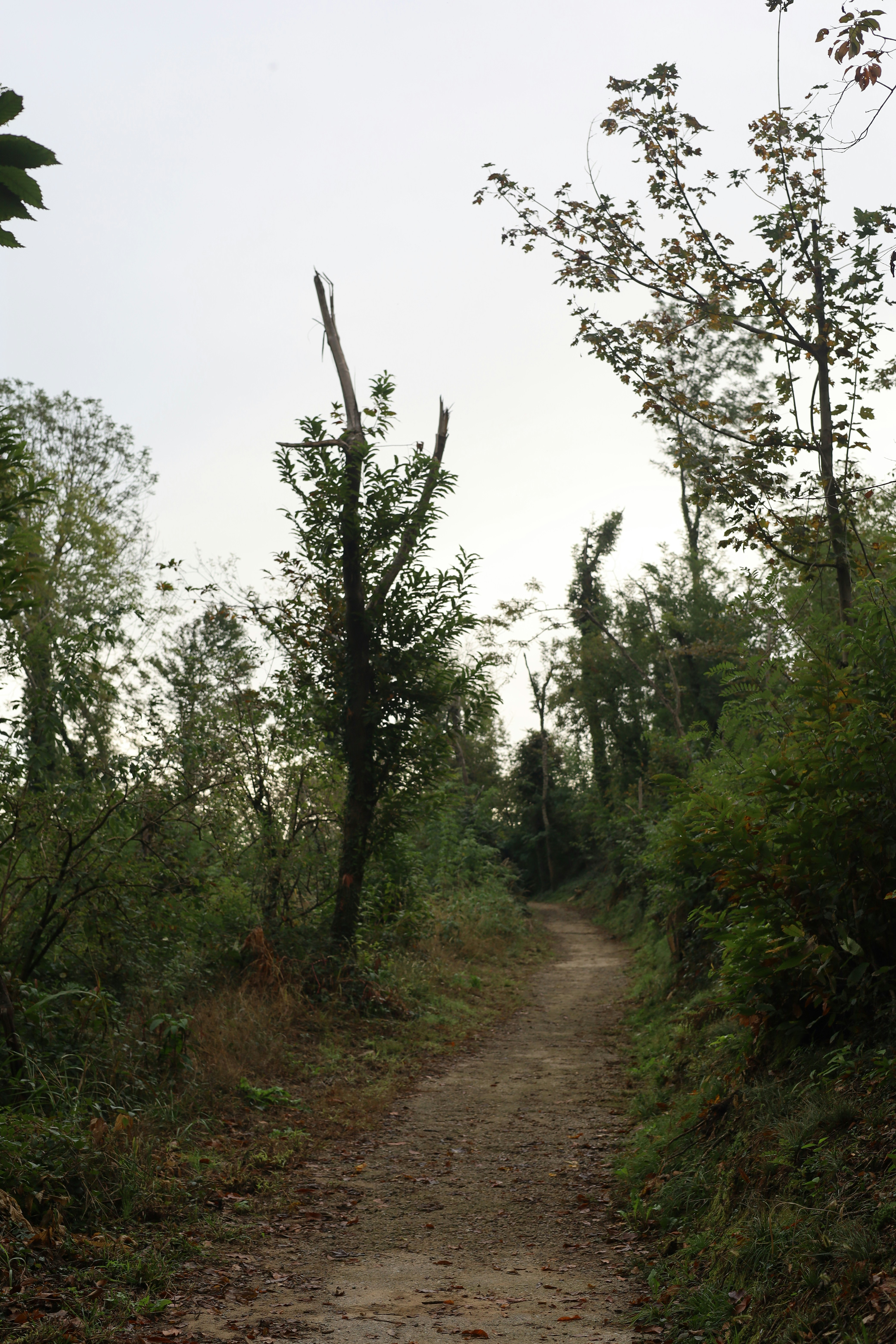 Photo by fotografiepercaso_
