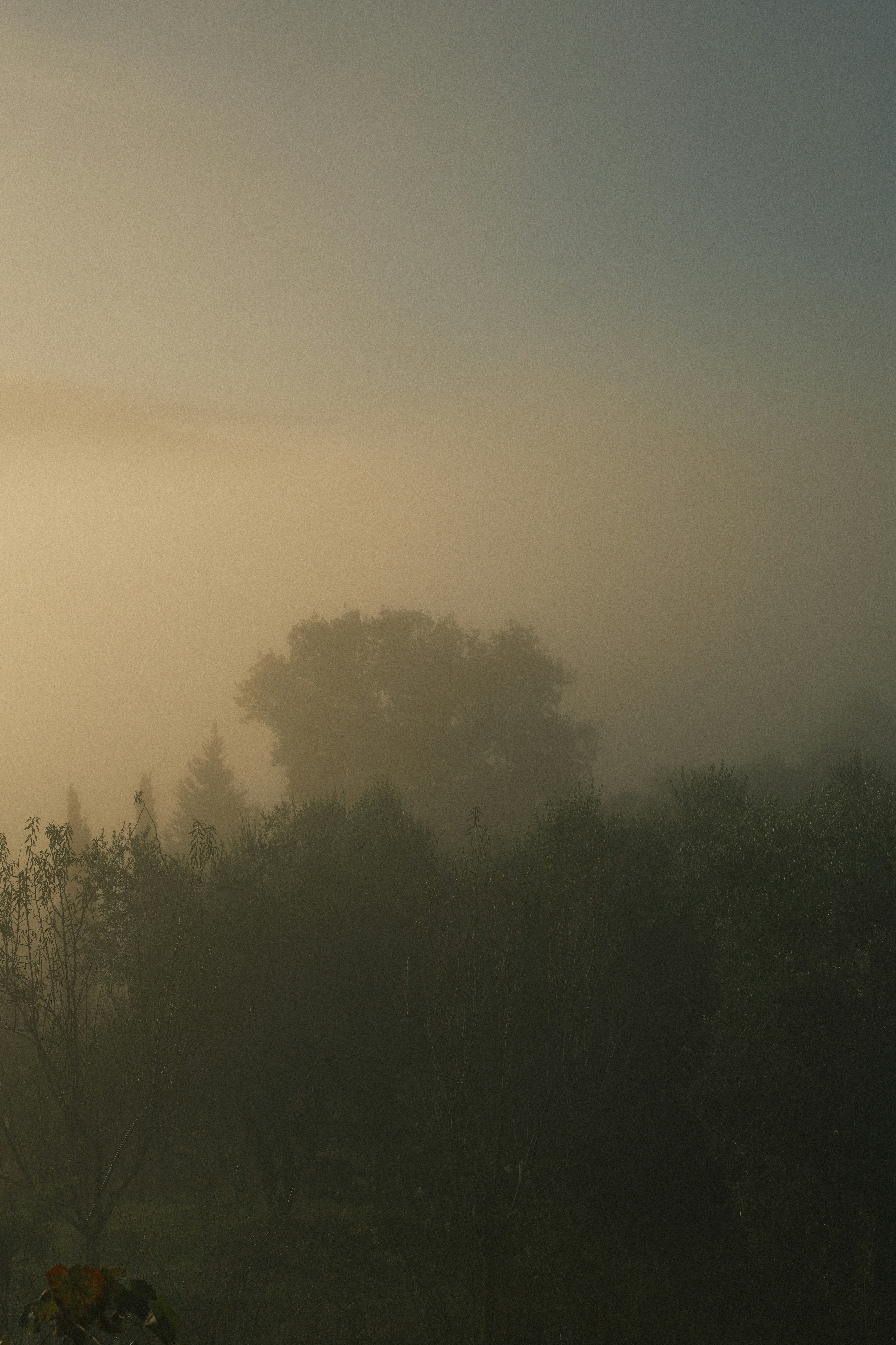 Photo by studiopizza