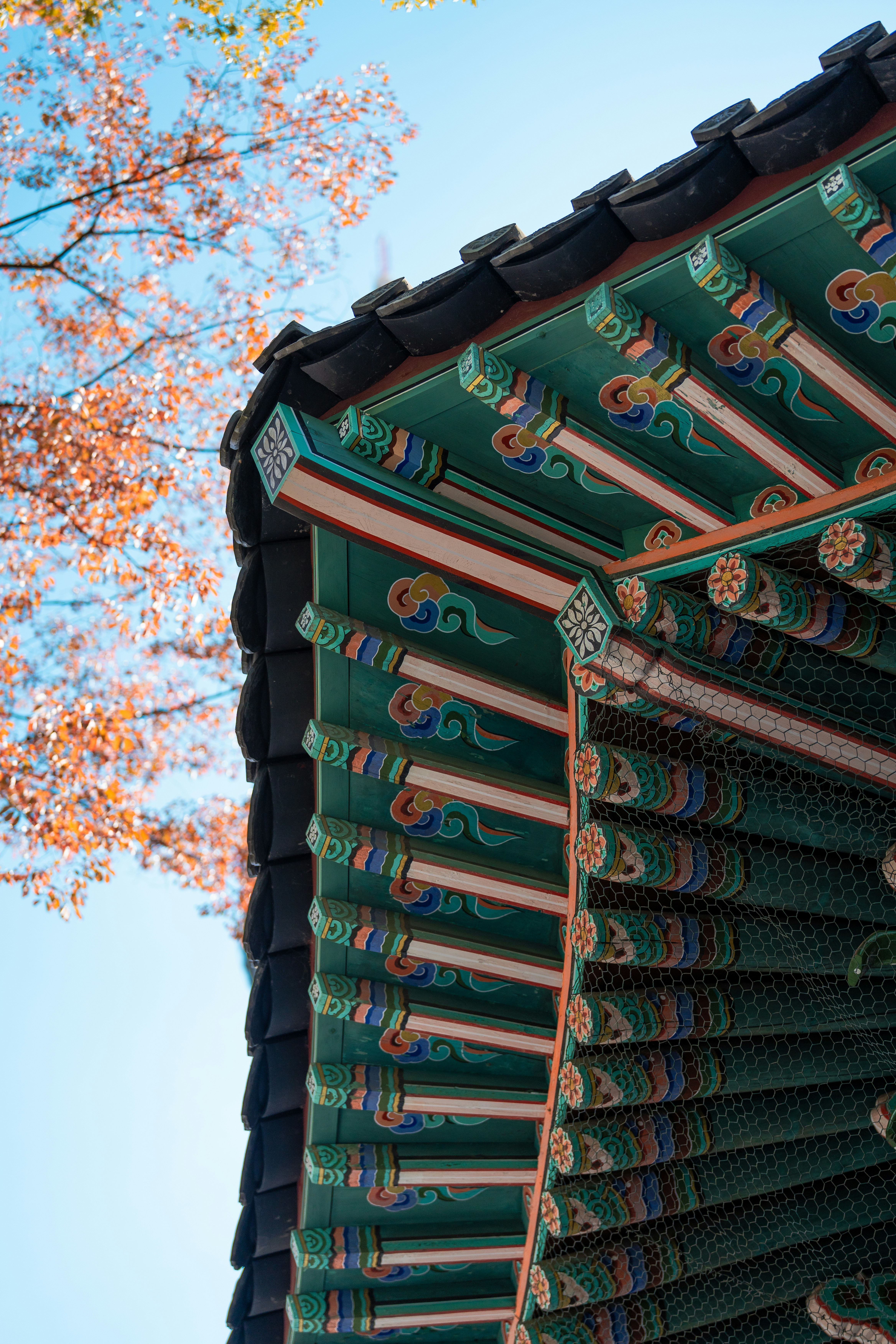 Photo by javiestebaan