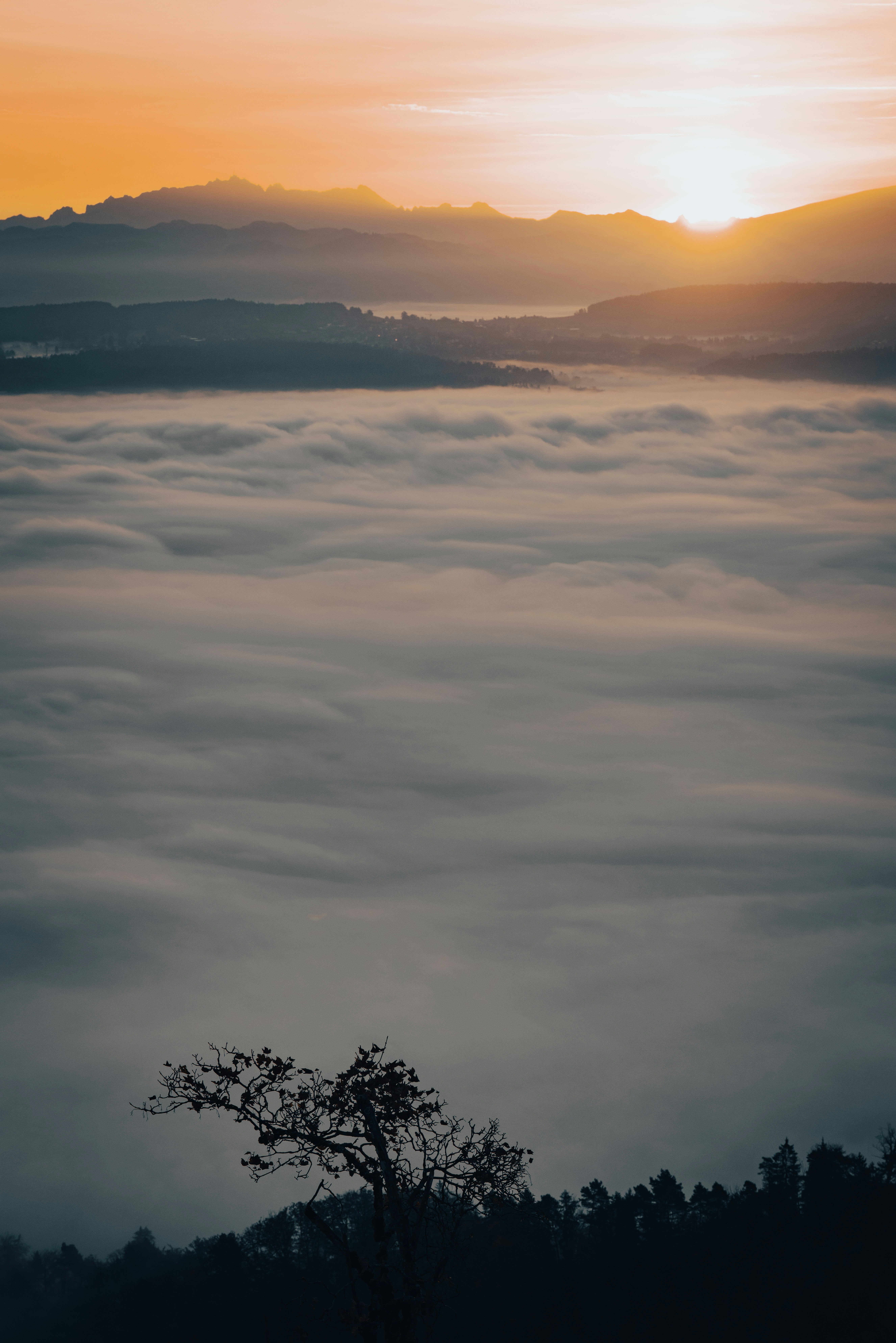 Photo by opohmelka
