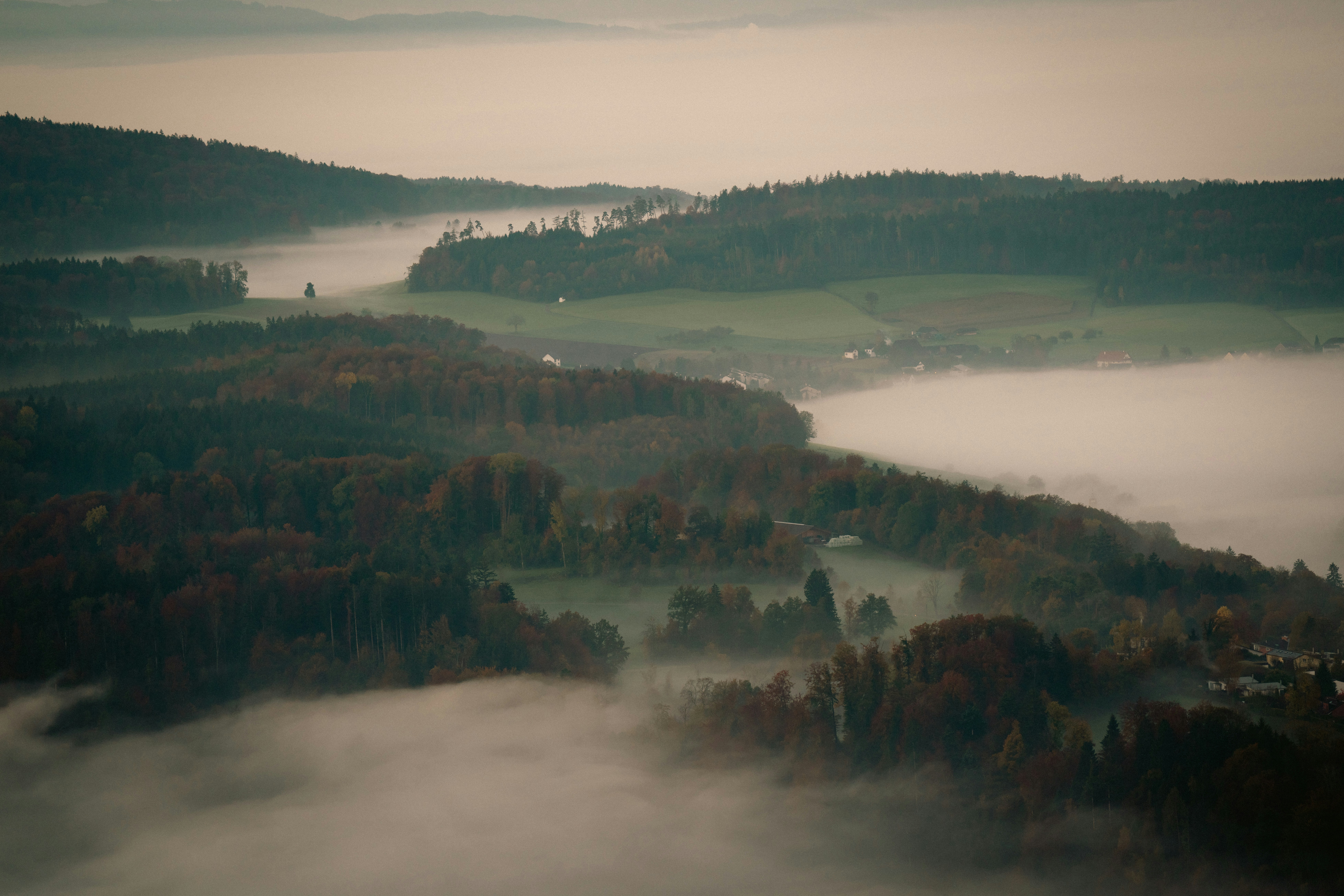 Photo by opohmelka