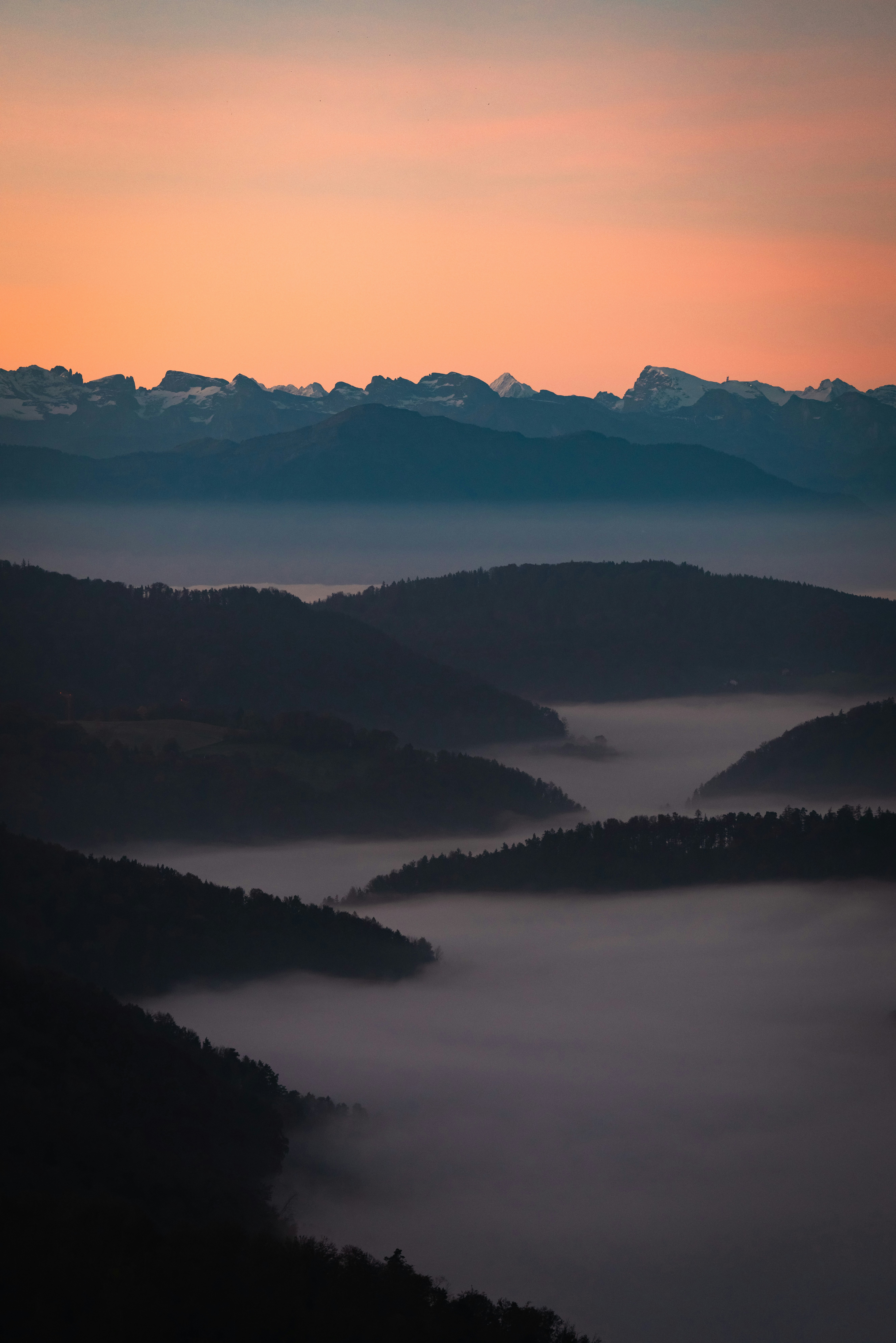 Photo by opohmelka