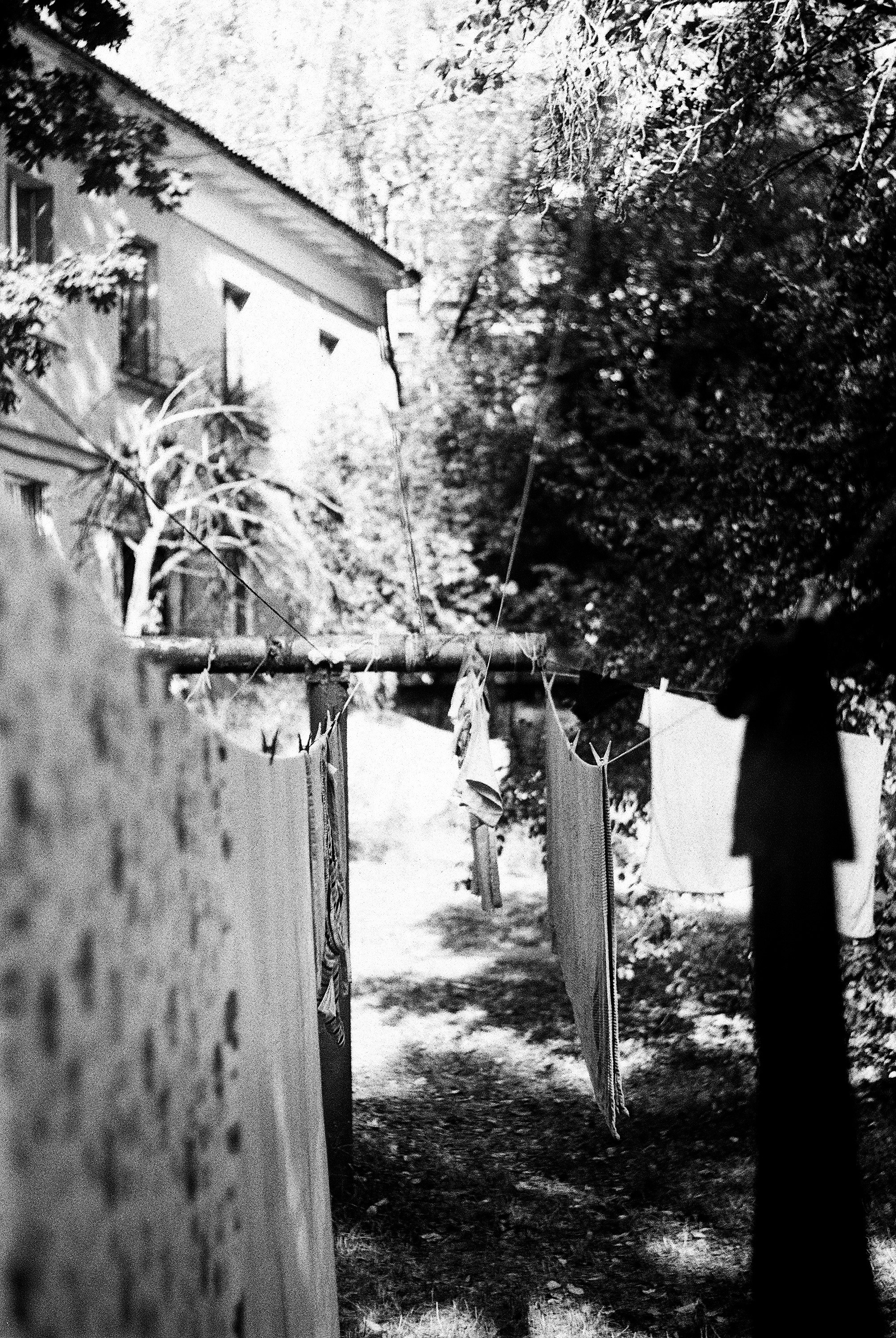 Photo by margaretkester