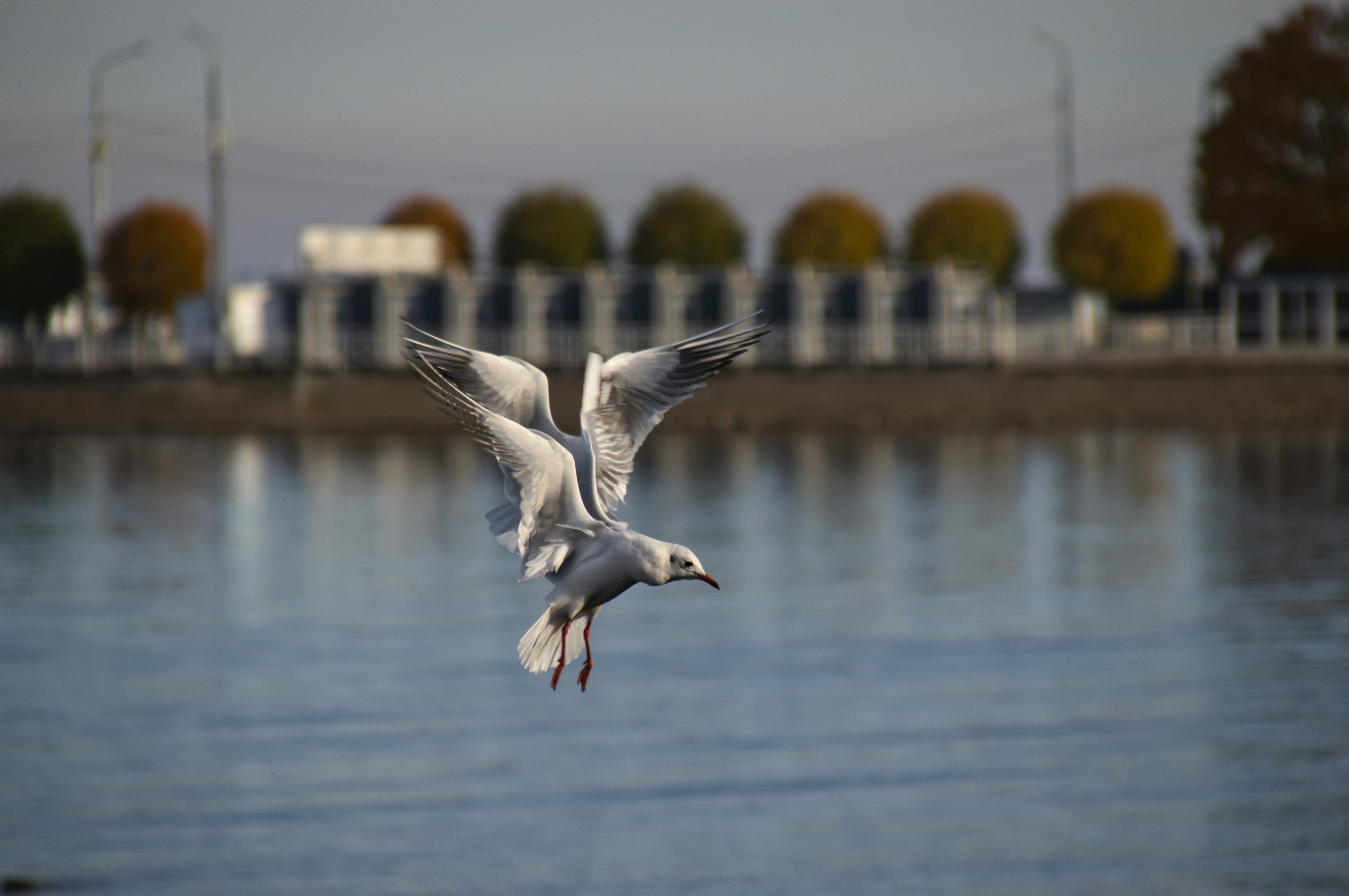 Photo by elegeo