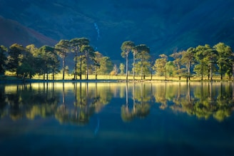 A body of water surrounded by mountains and trees