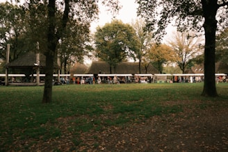 A group of tents in the middle of a park