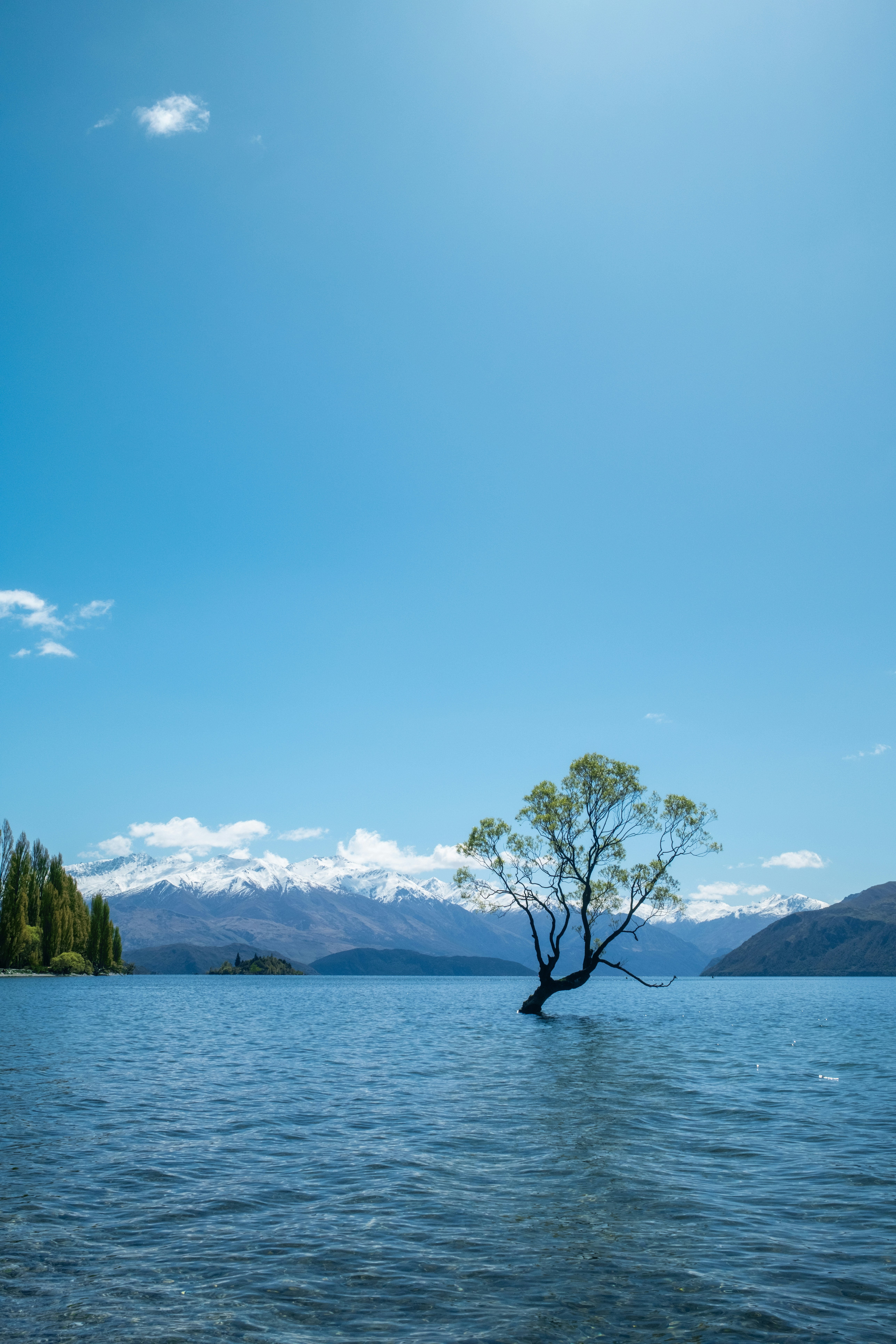 Photo by mounishraja