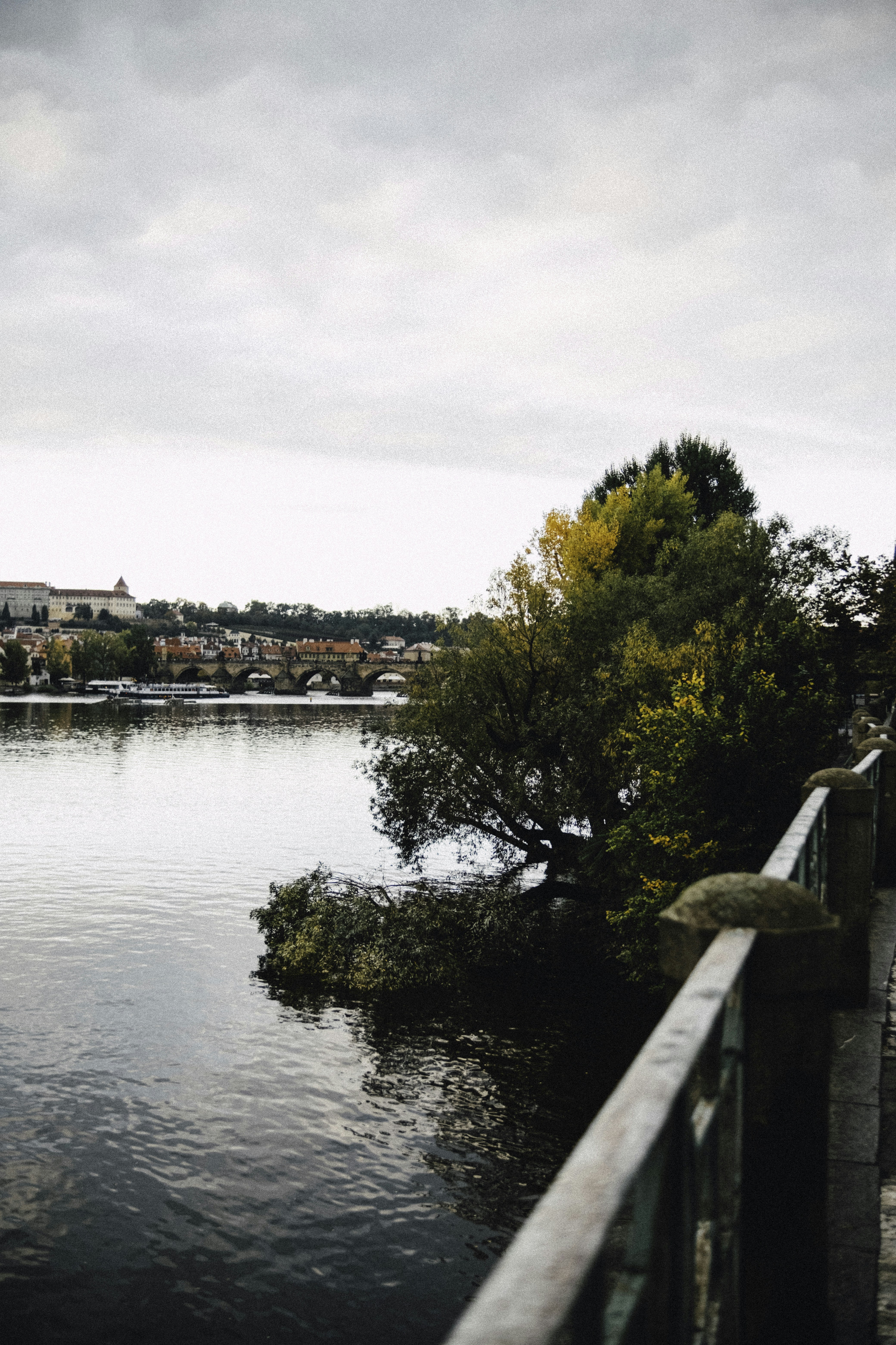 Photo by martin_siblik