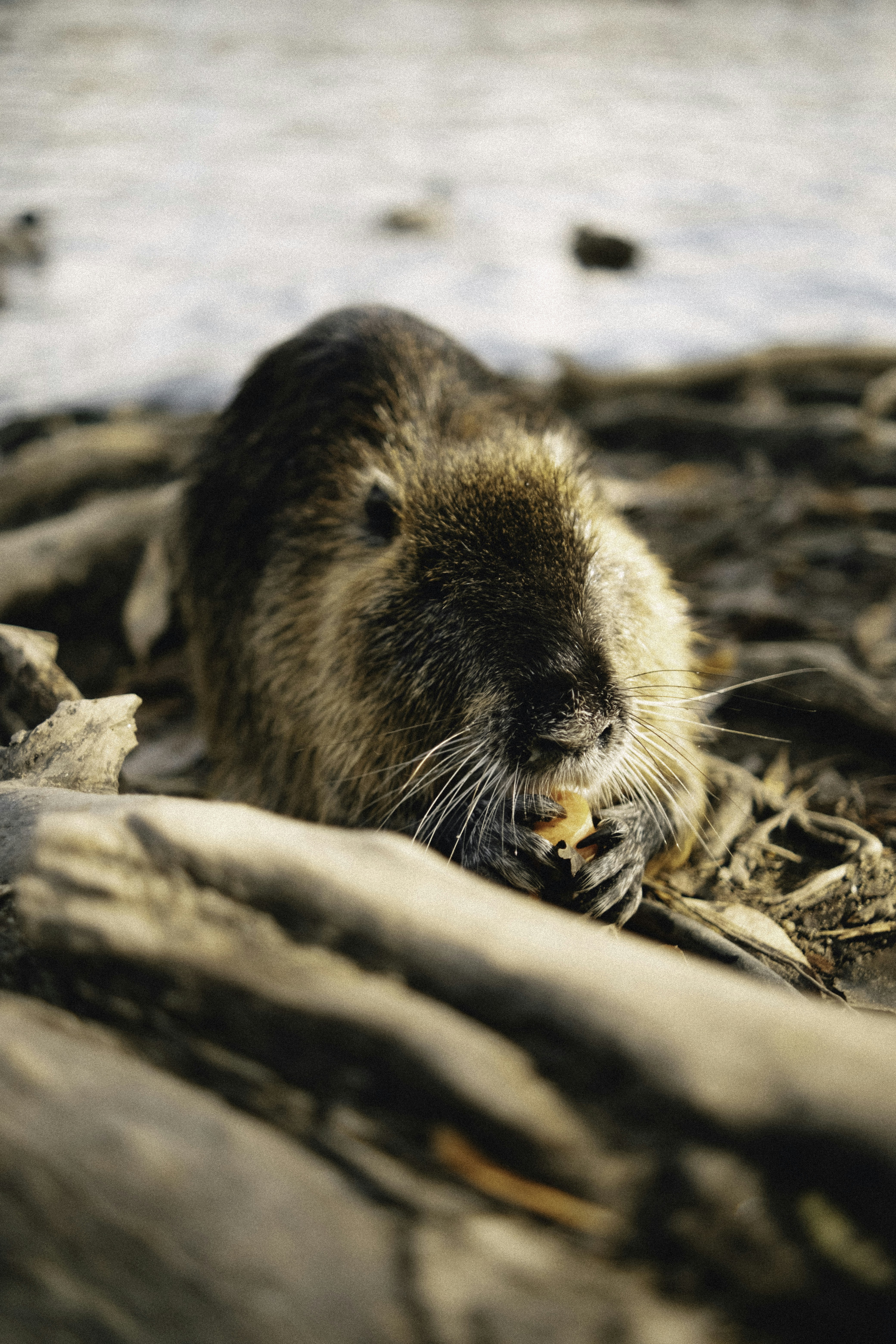 Photo by martin_siblik