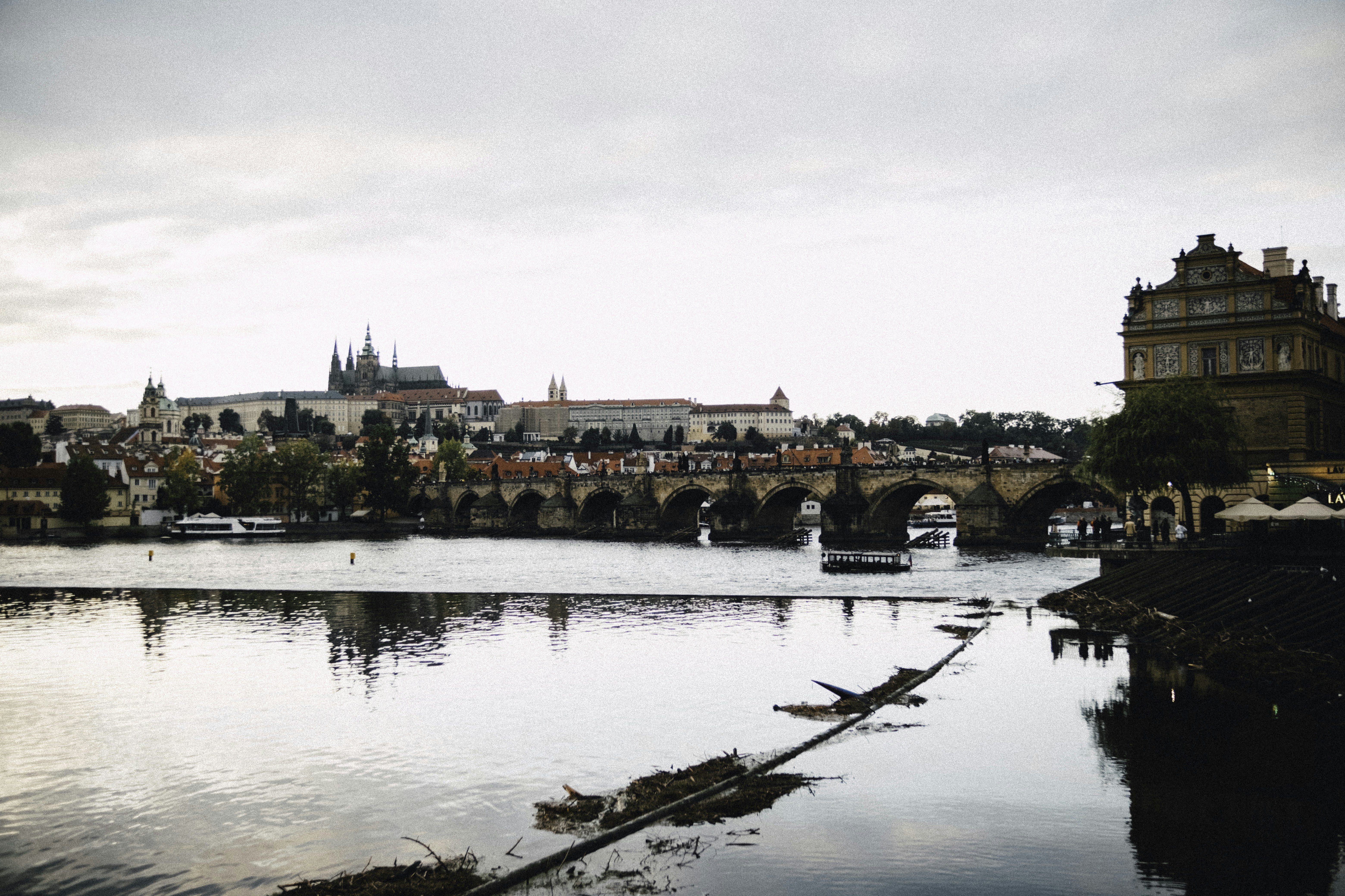 Photo by martin_siblik