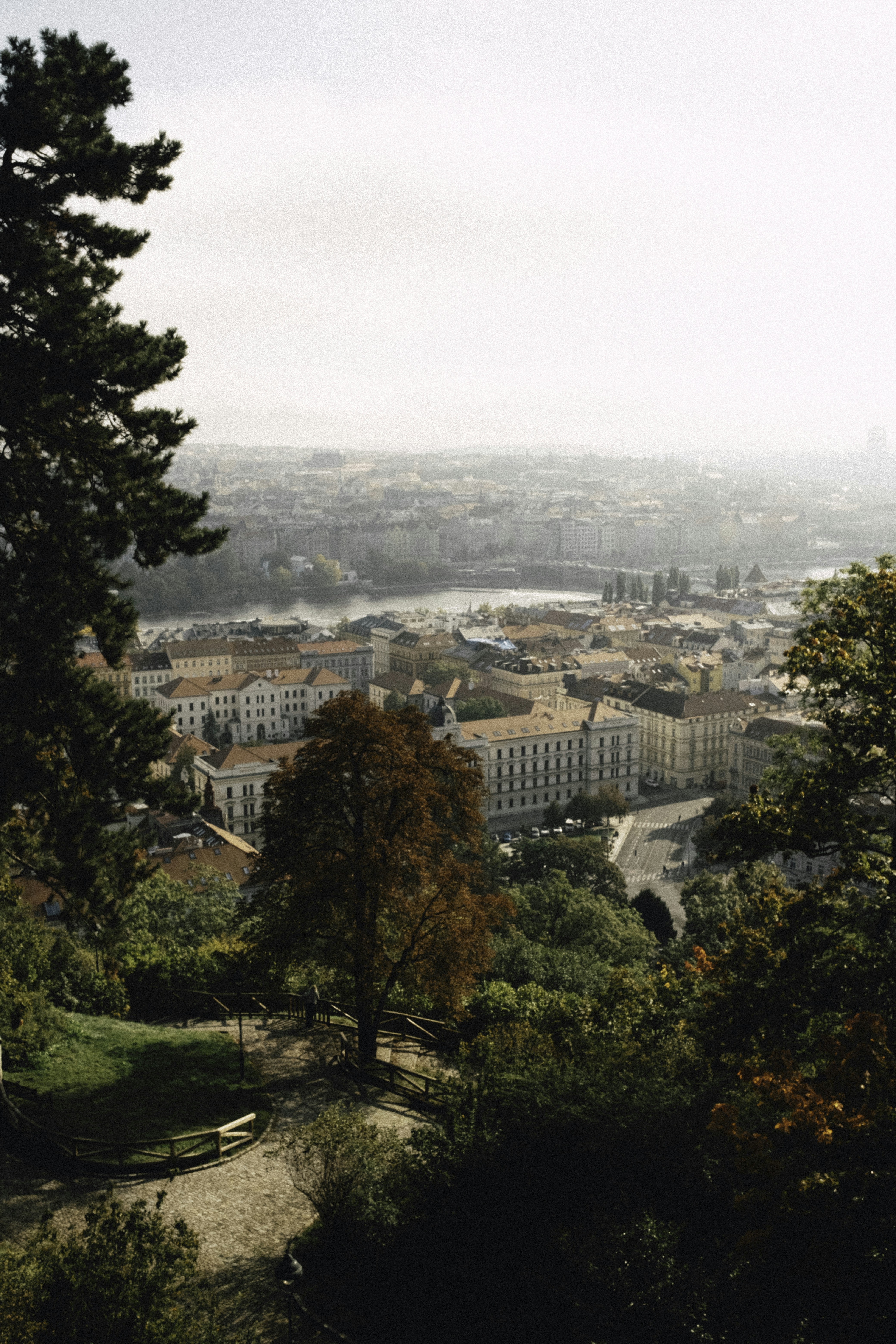 Photo by martin_siblik