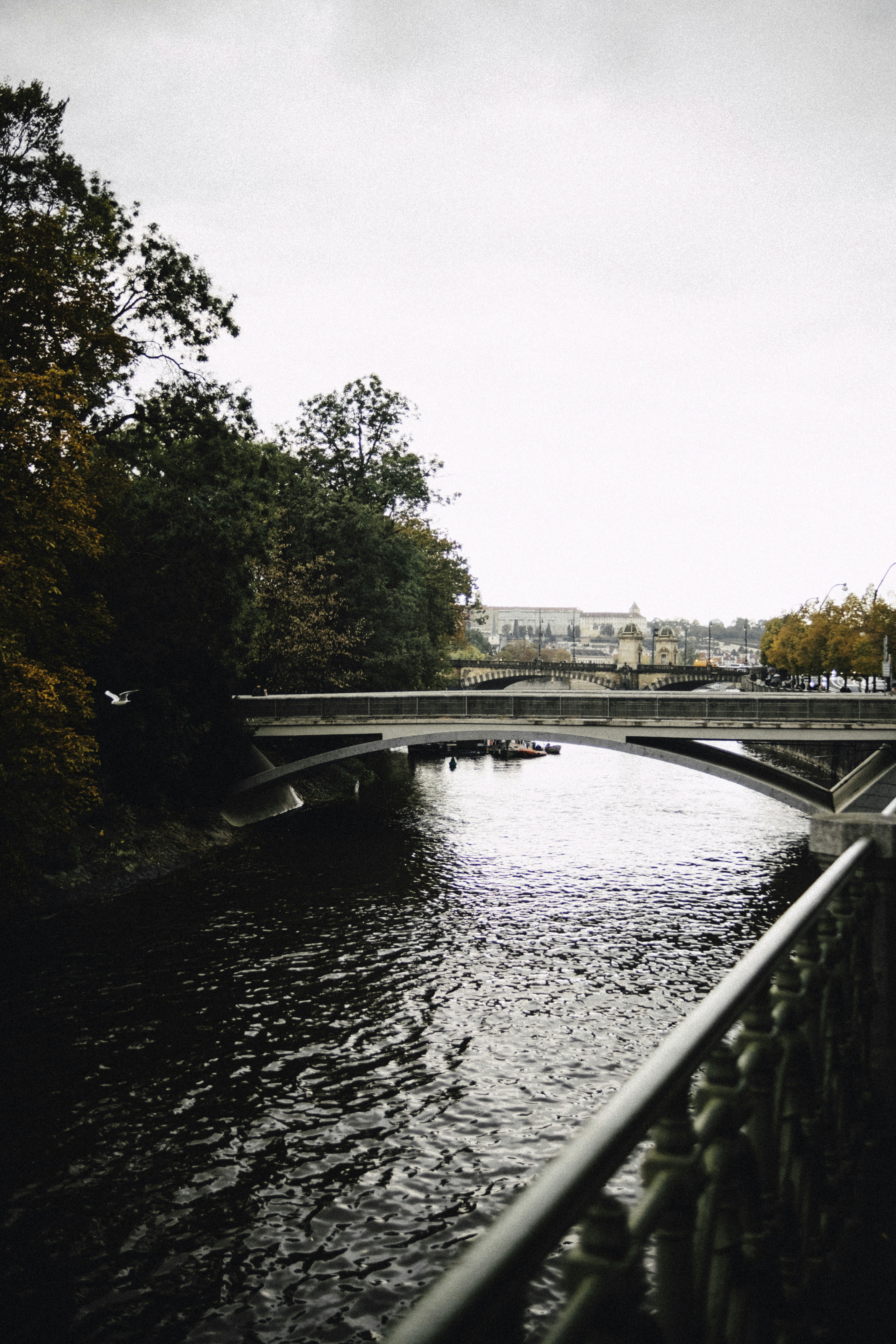 Photo by martin_siblik