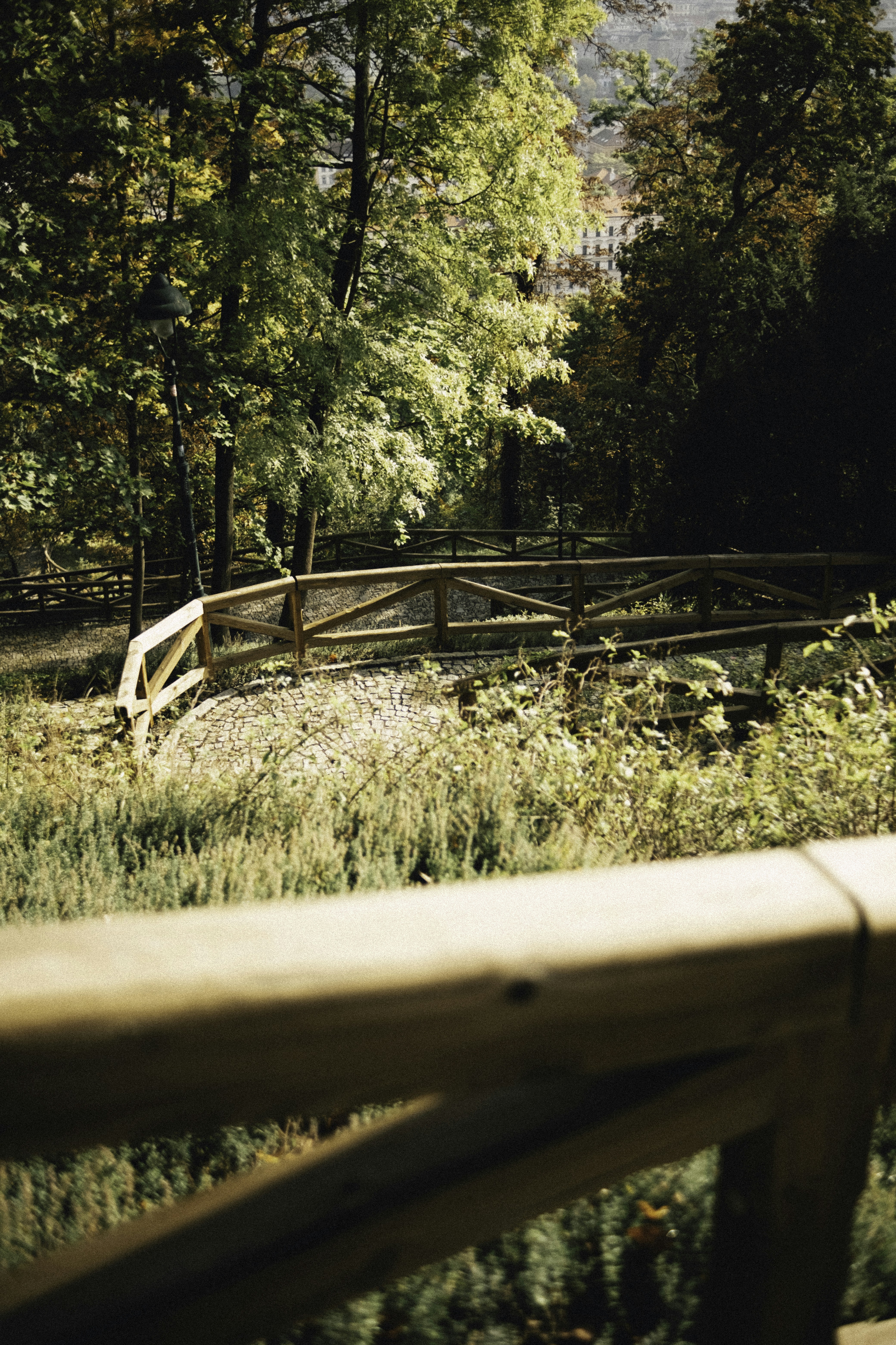 Photo by martin_siblik