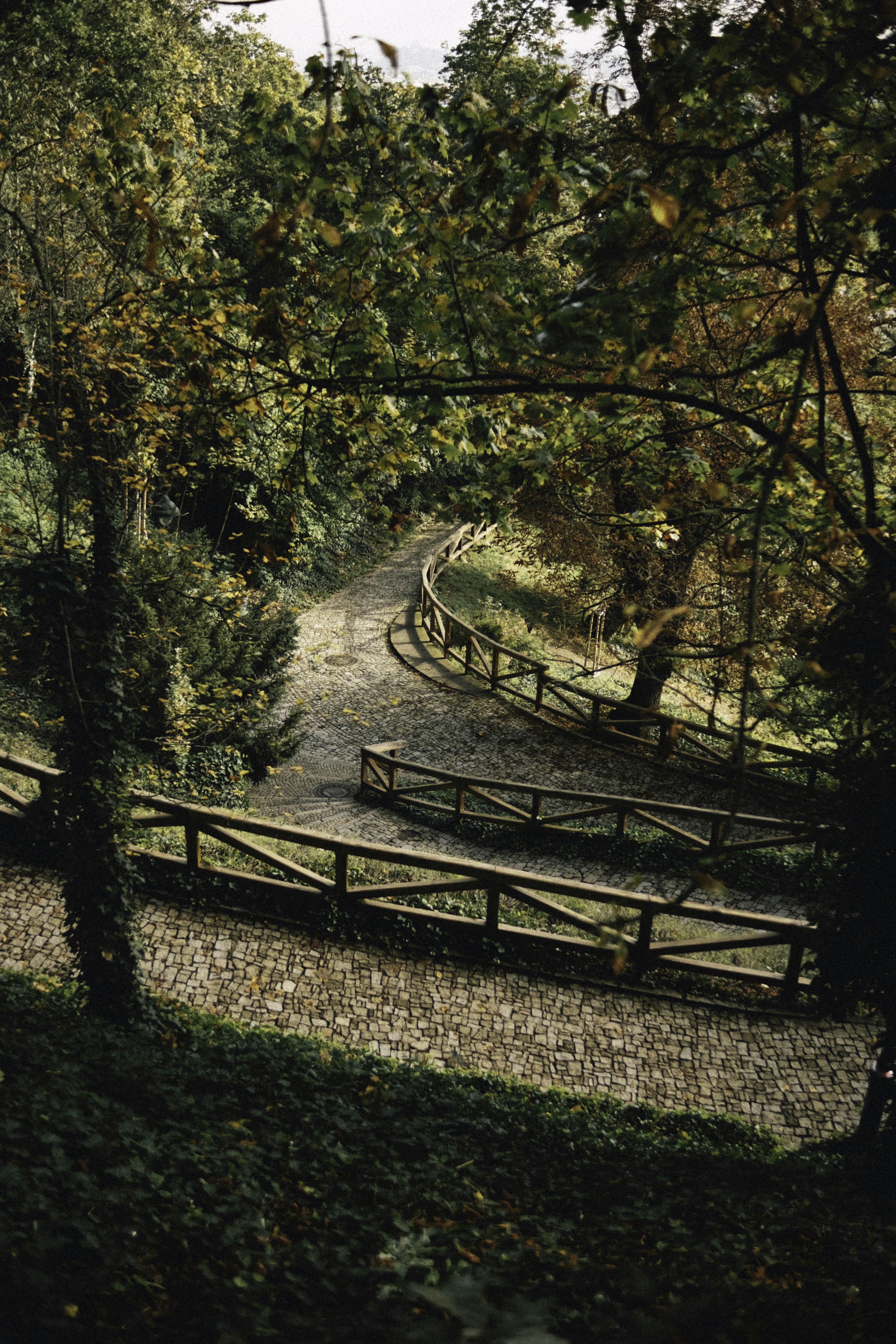 Photo by martin_siblik