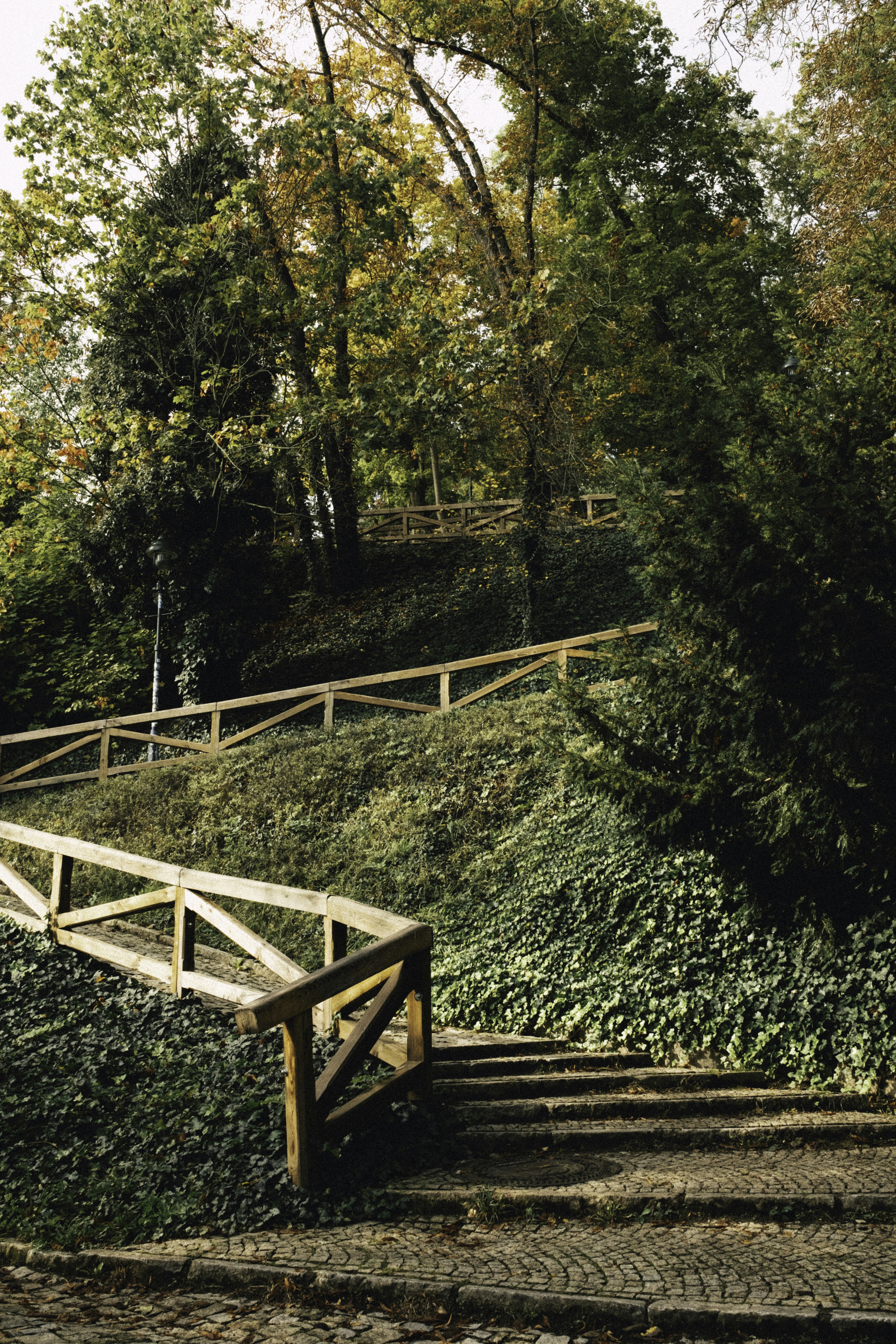 Photo by martin_siblik