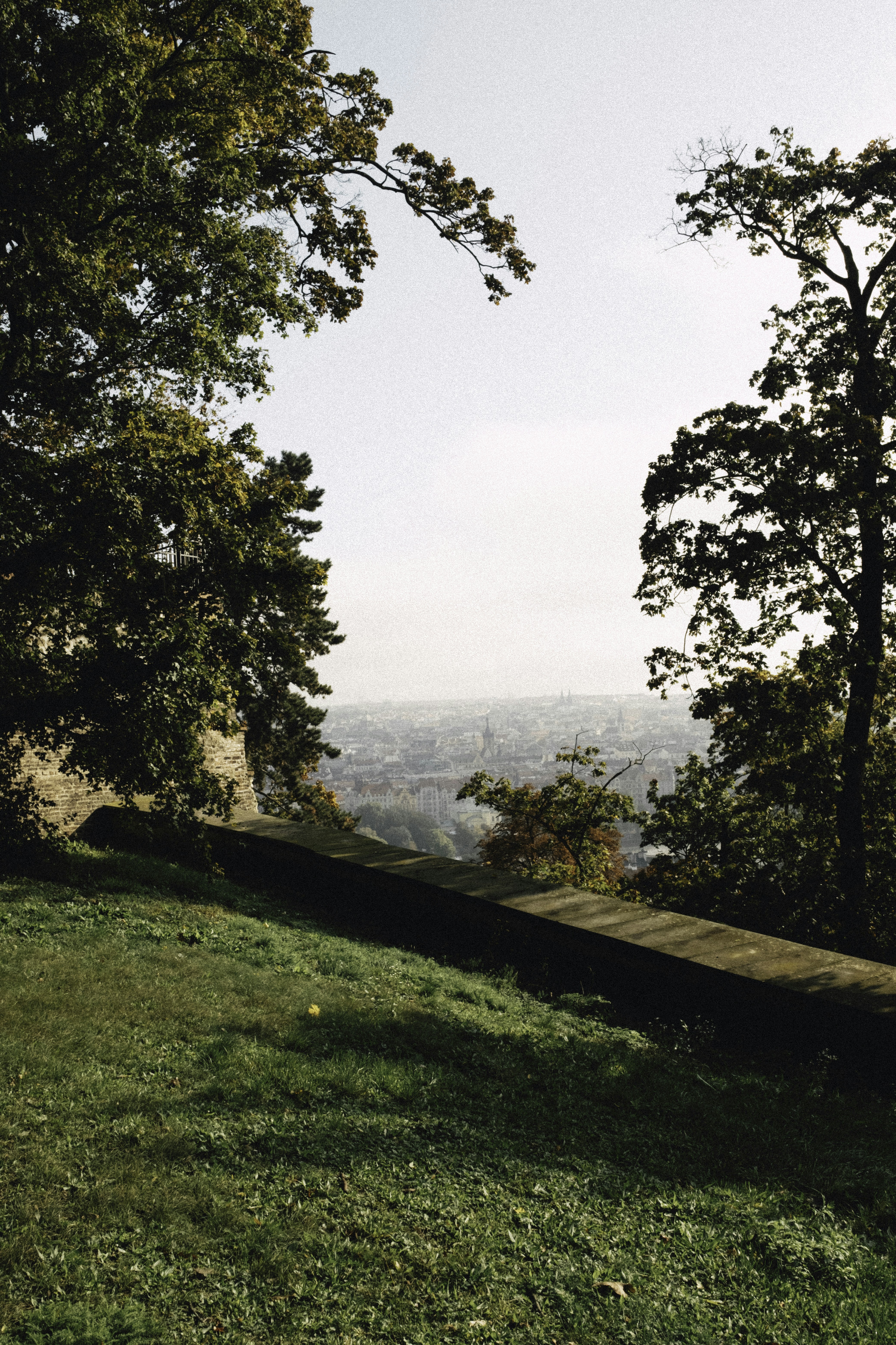 Photo by martin_siblik