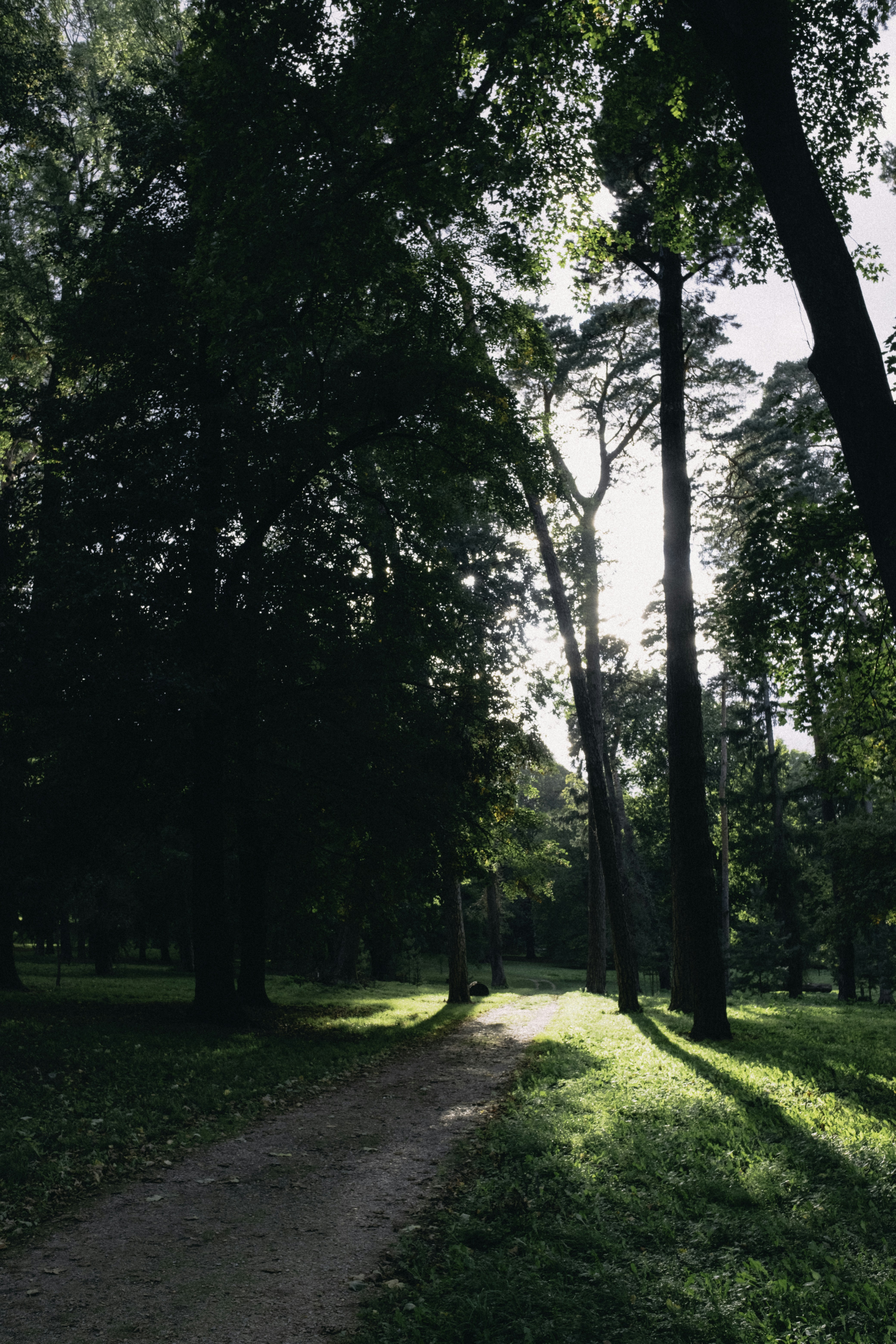 Photo by martin_siblik