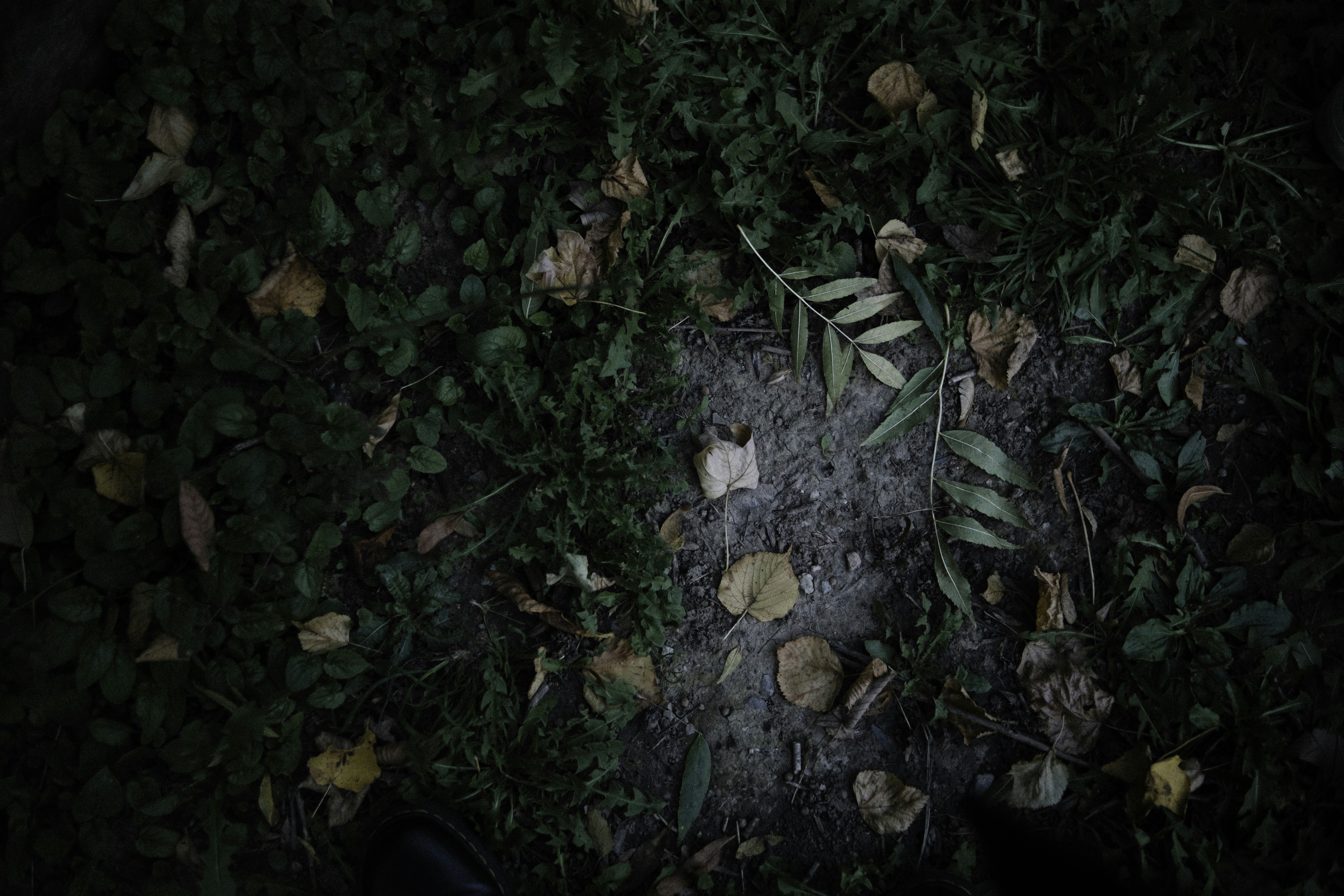 Photo by martin_siblik