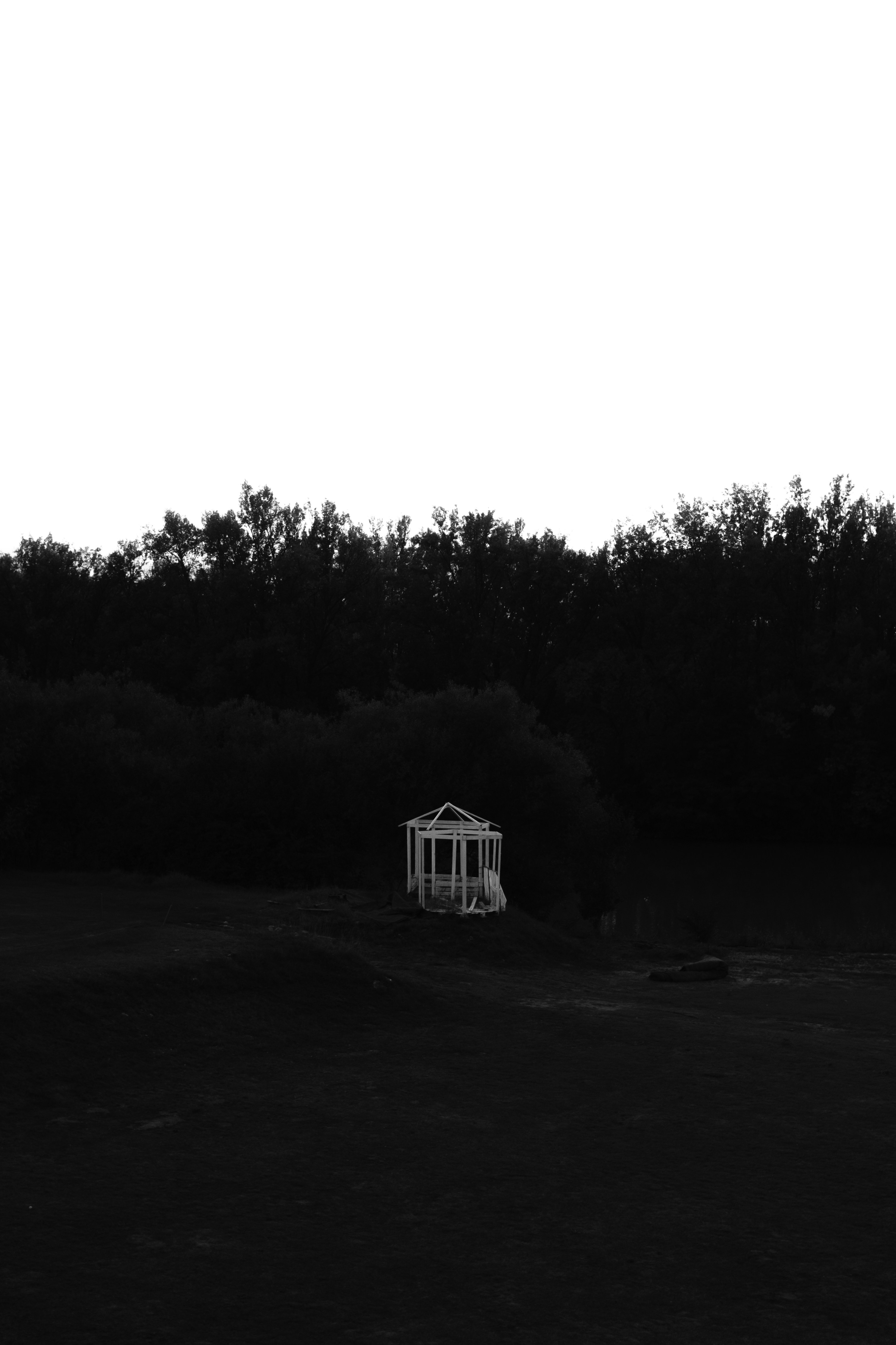 Photo by martin_siblik