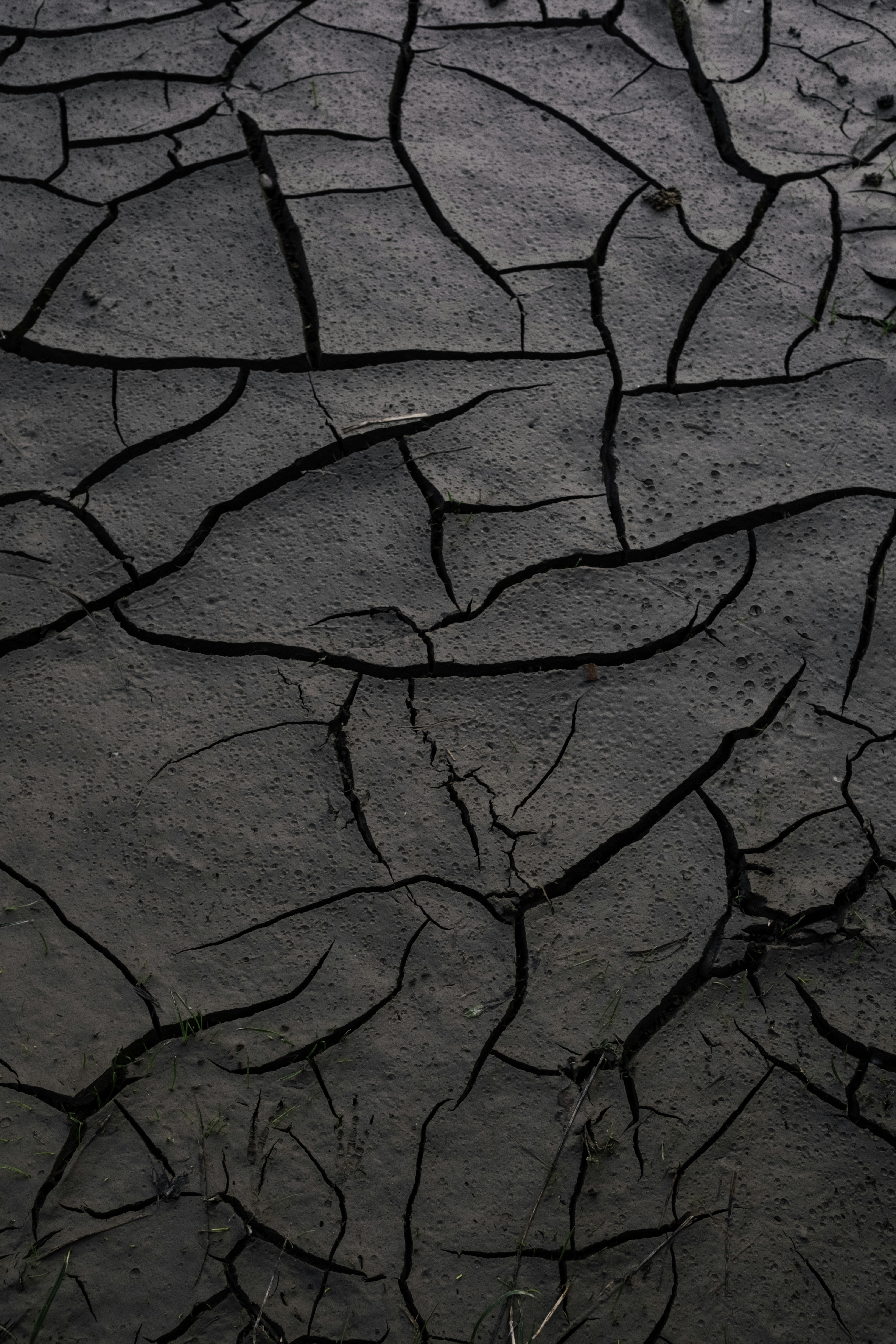 Photo by martin_siblik