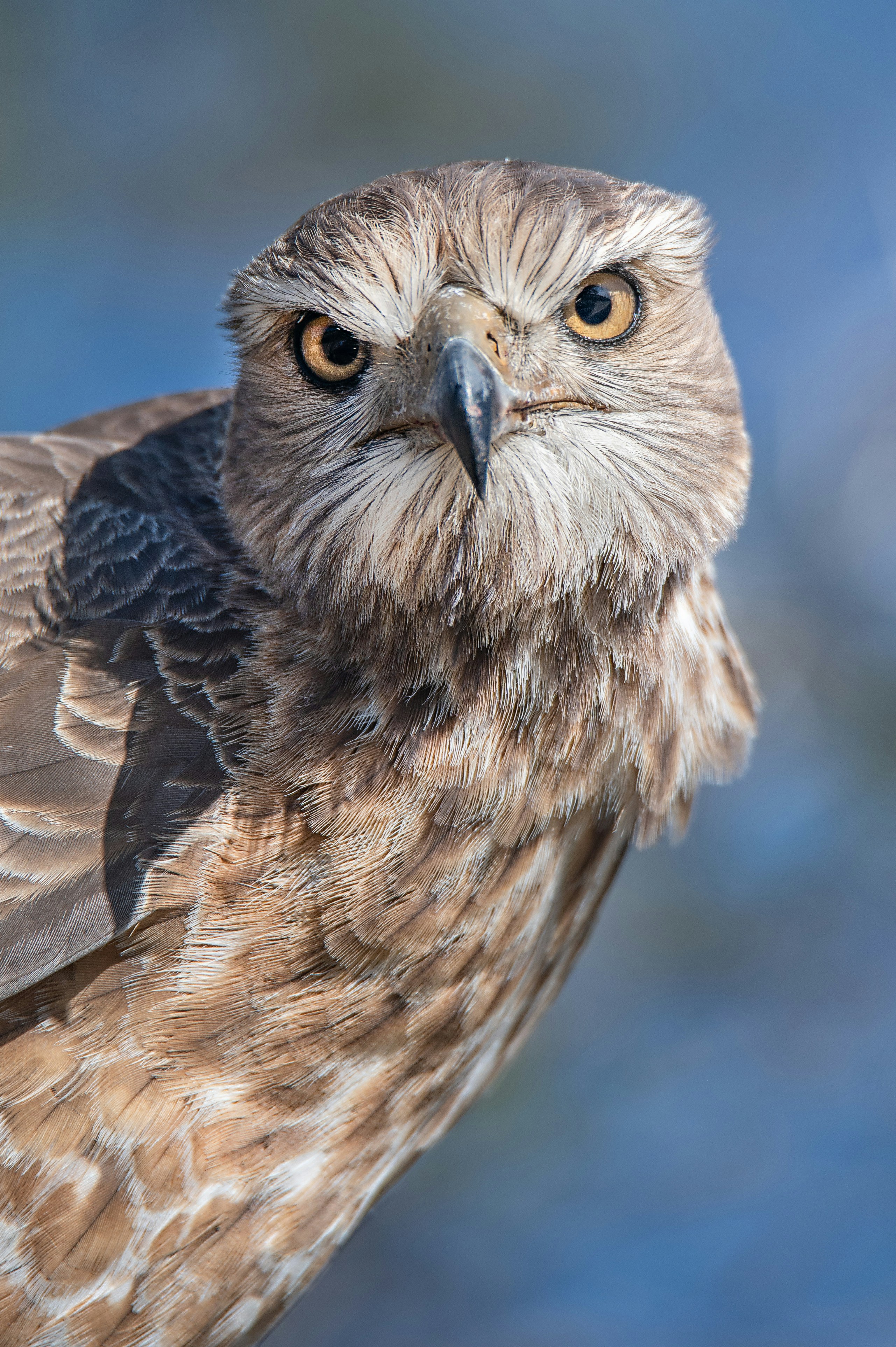 Photo by whoopsadaisies