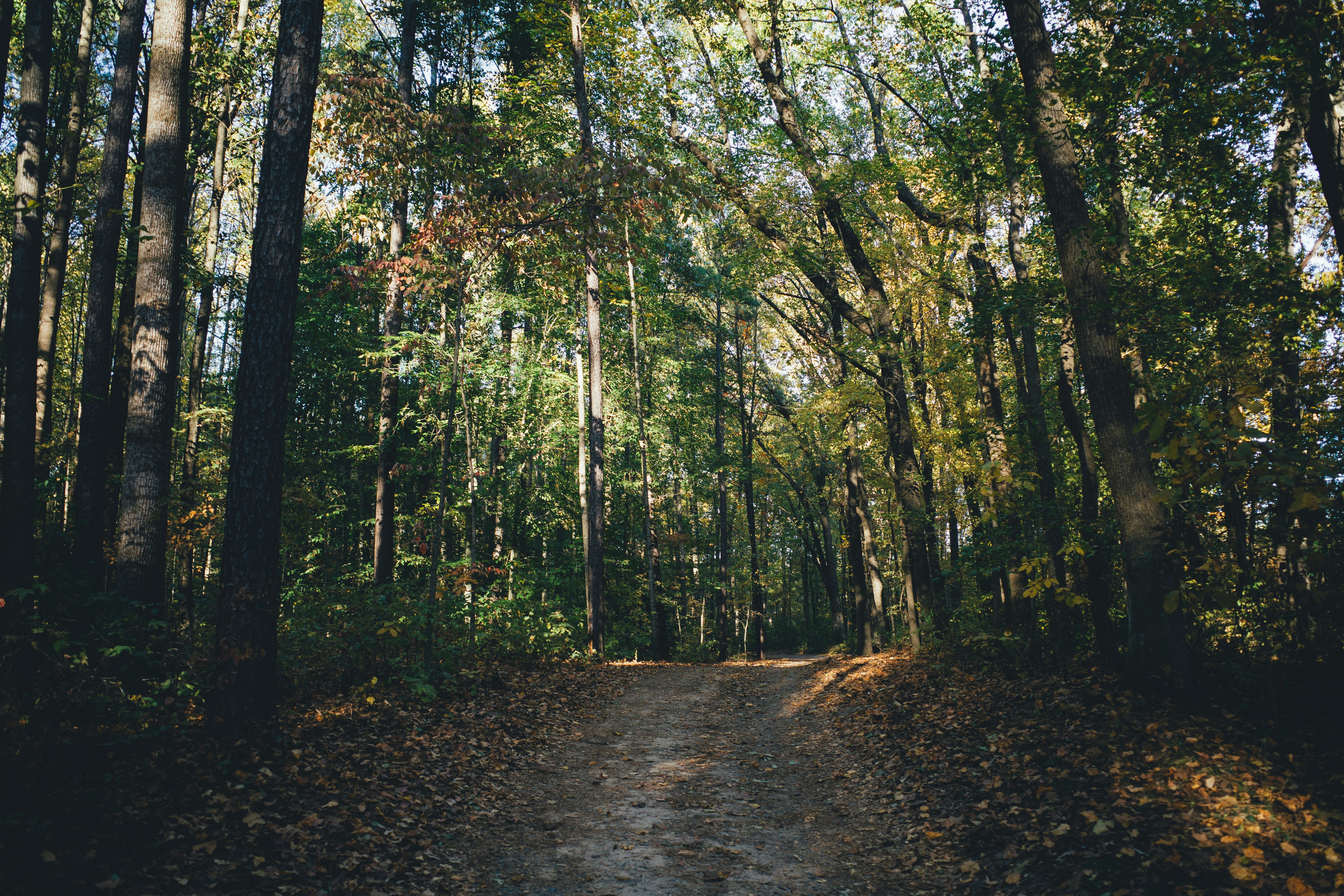 Photo by magicunsplash