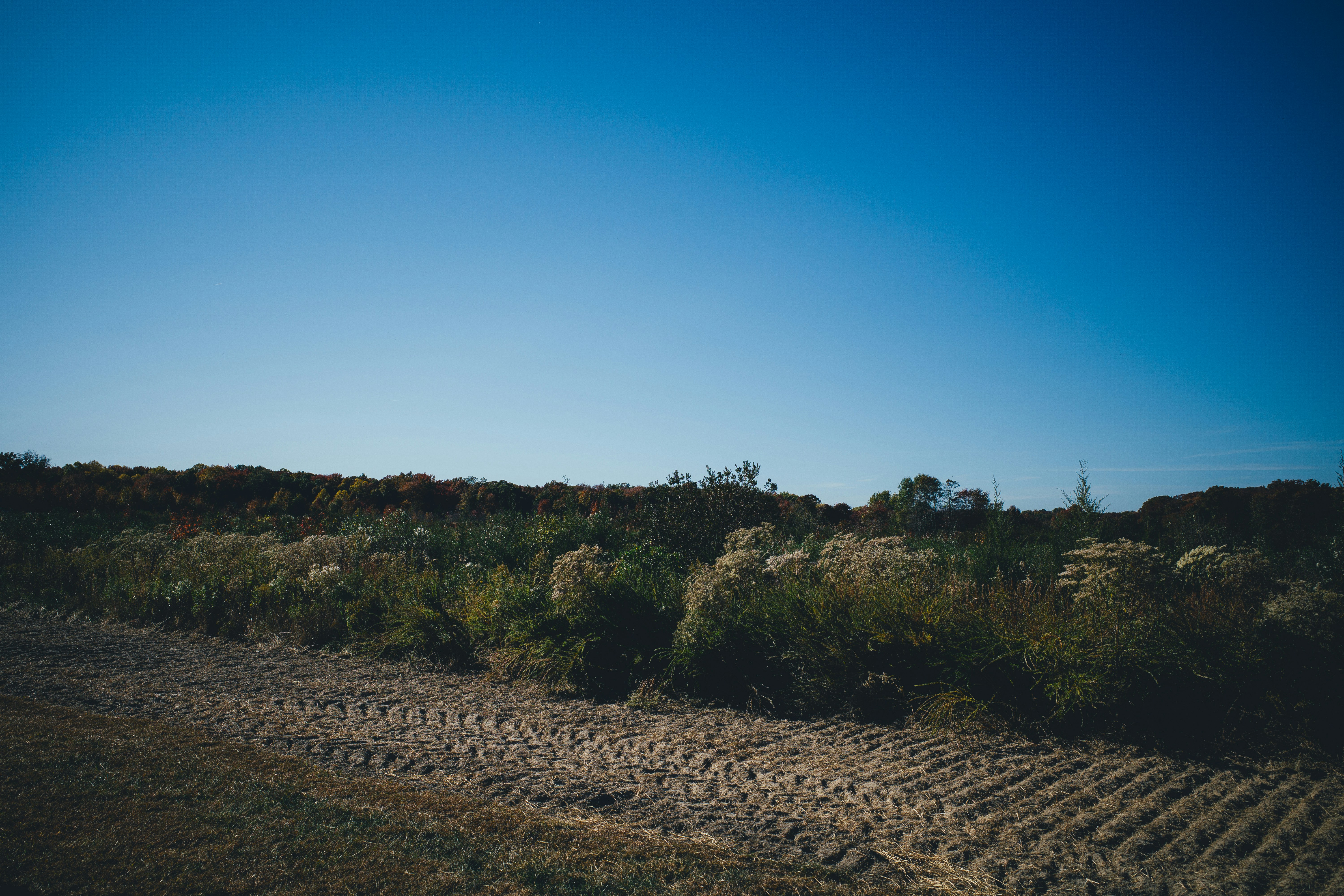 Photo by magicunsplash