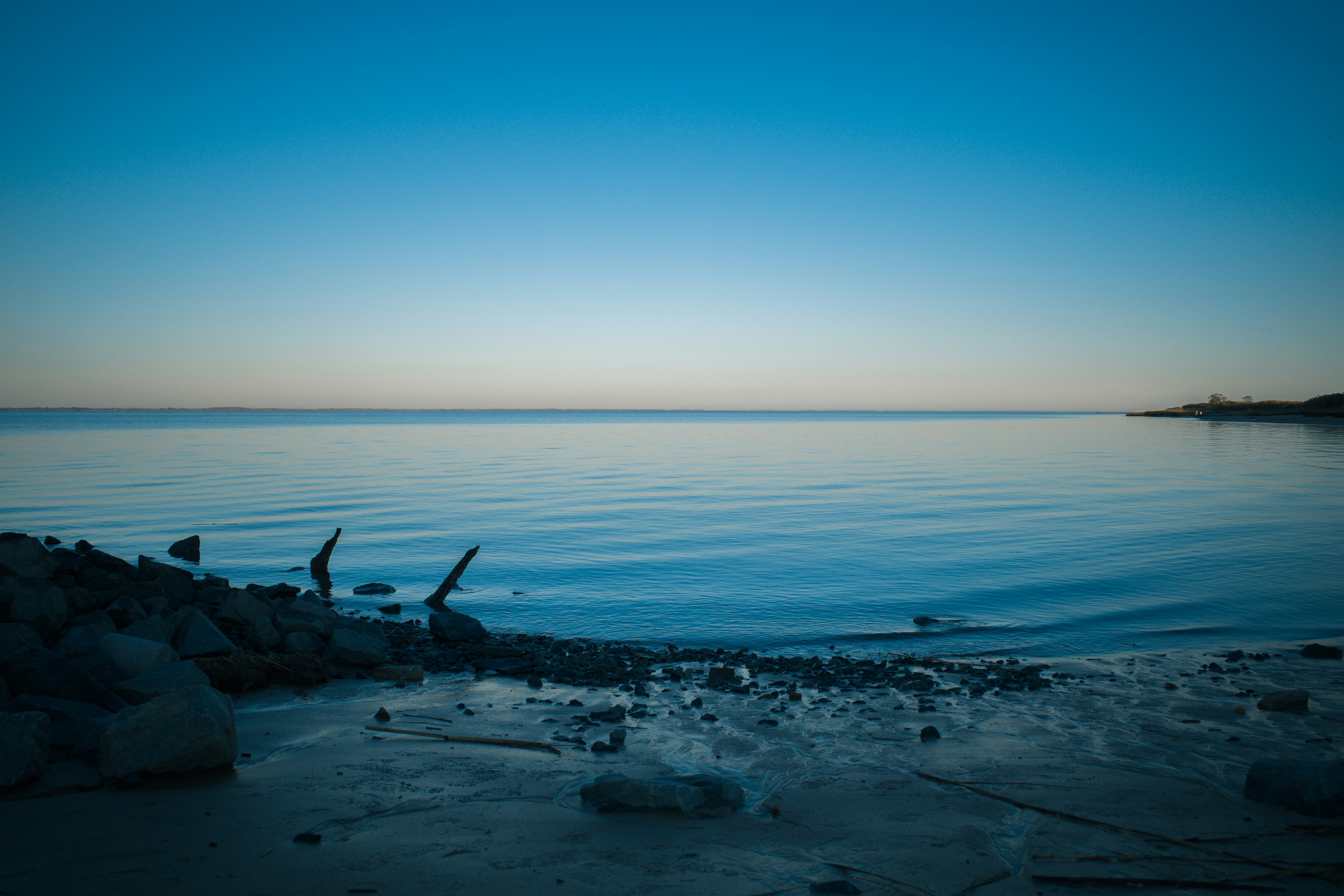 Photo by magicunsplash