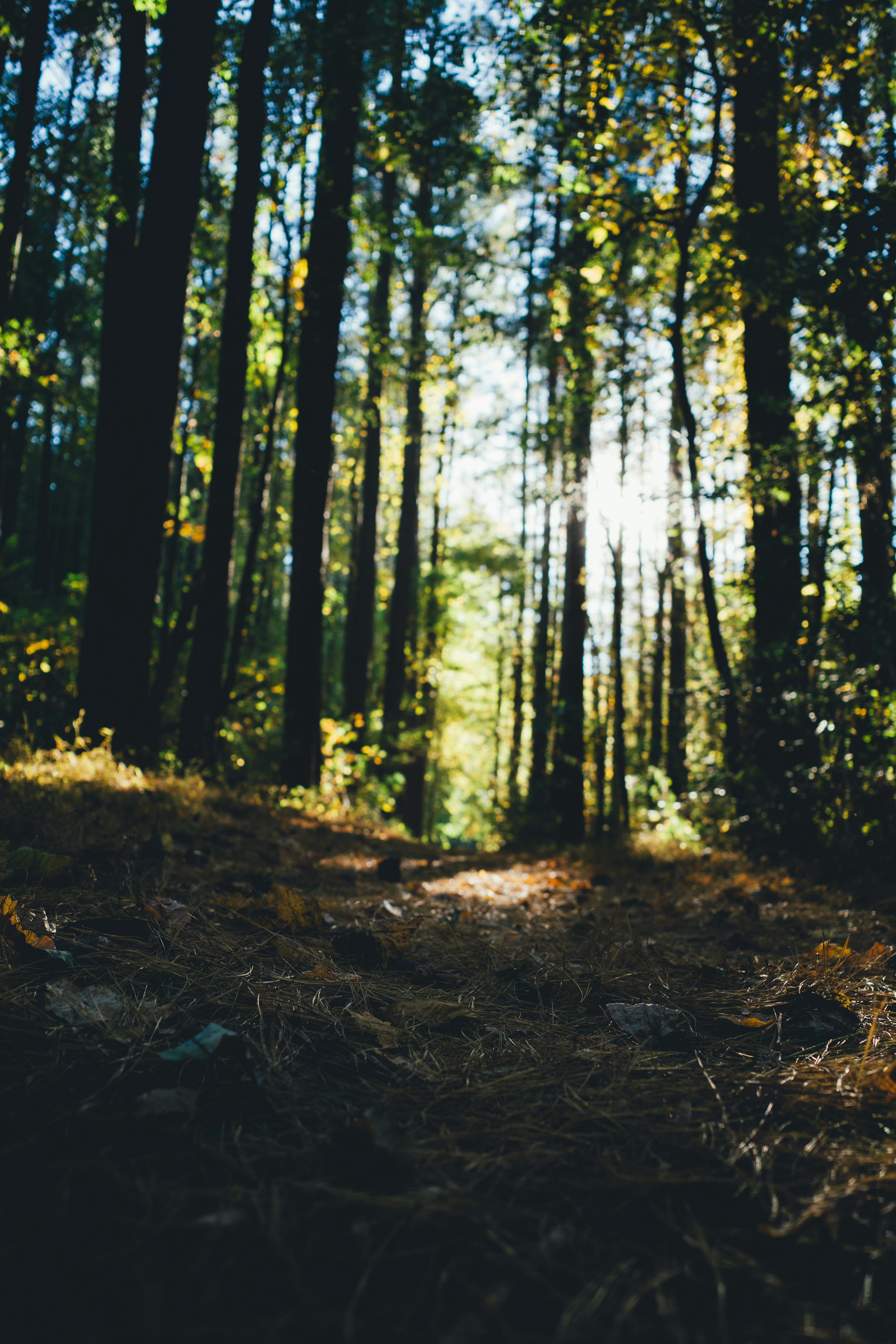 Photo by magicunsplash